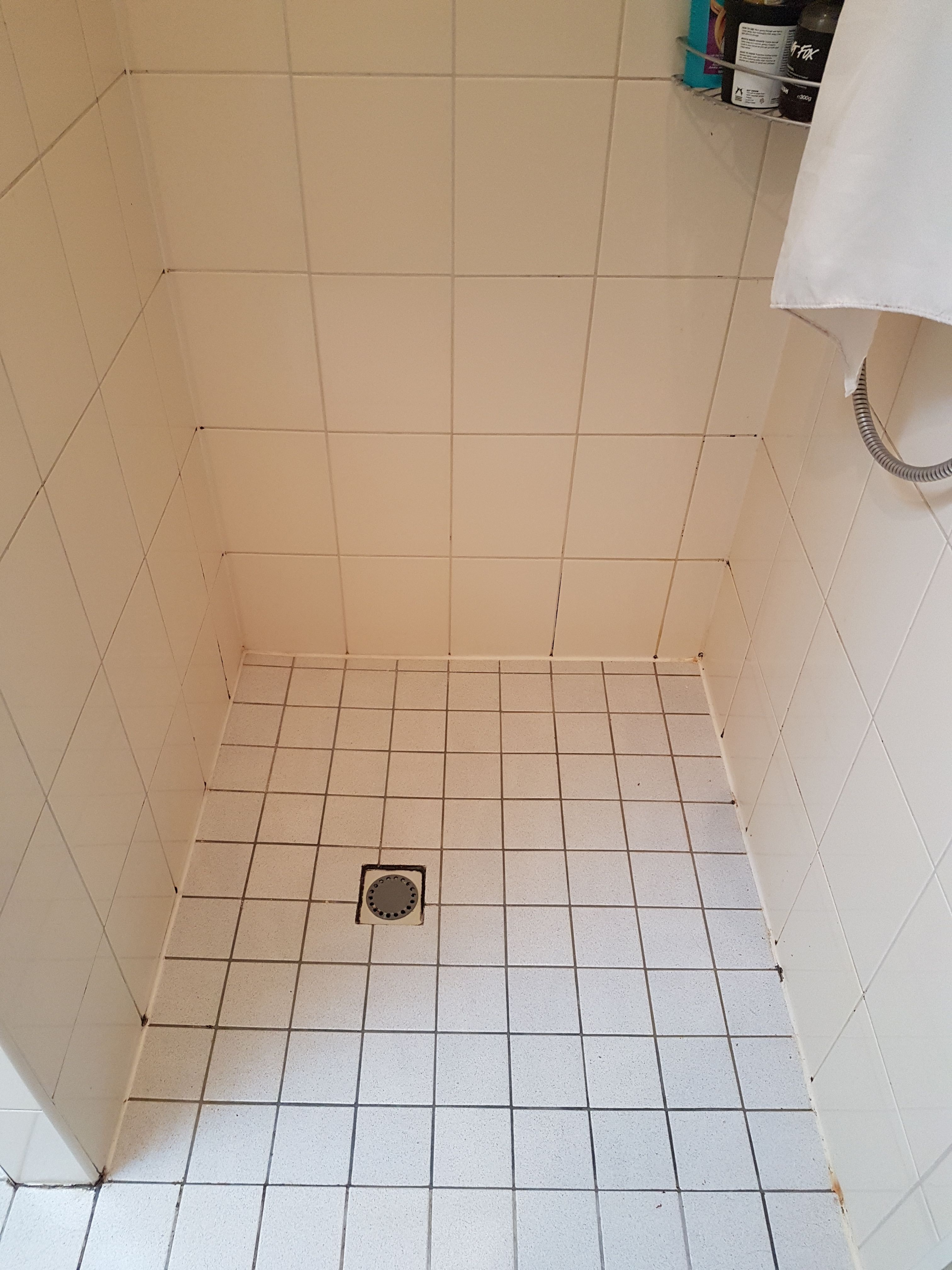 Kitten Douche Werkspot