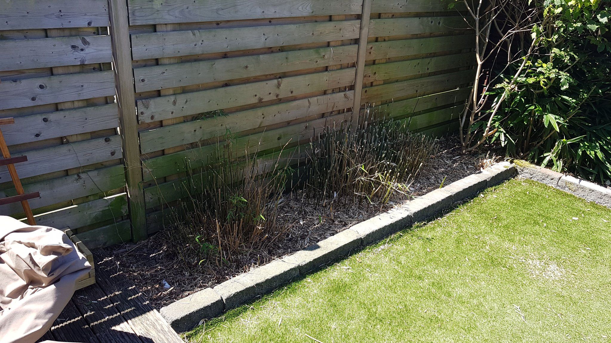 Tuin Bamboe en Riet verwijderen Werkspot