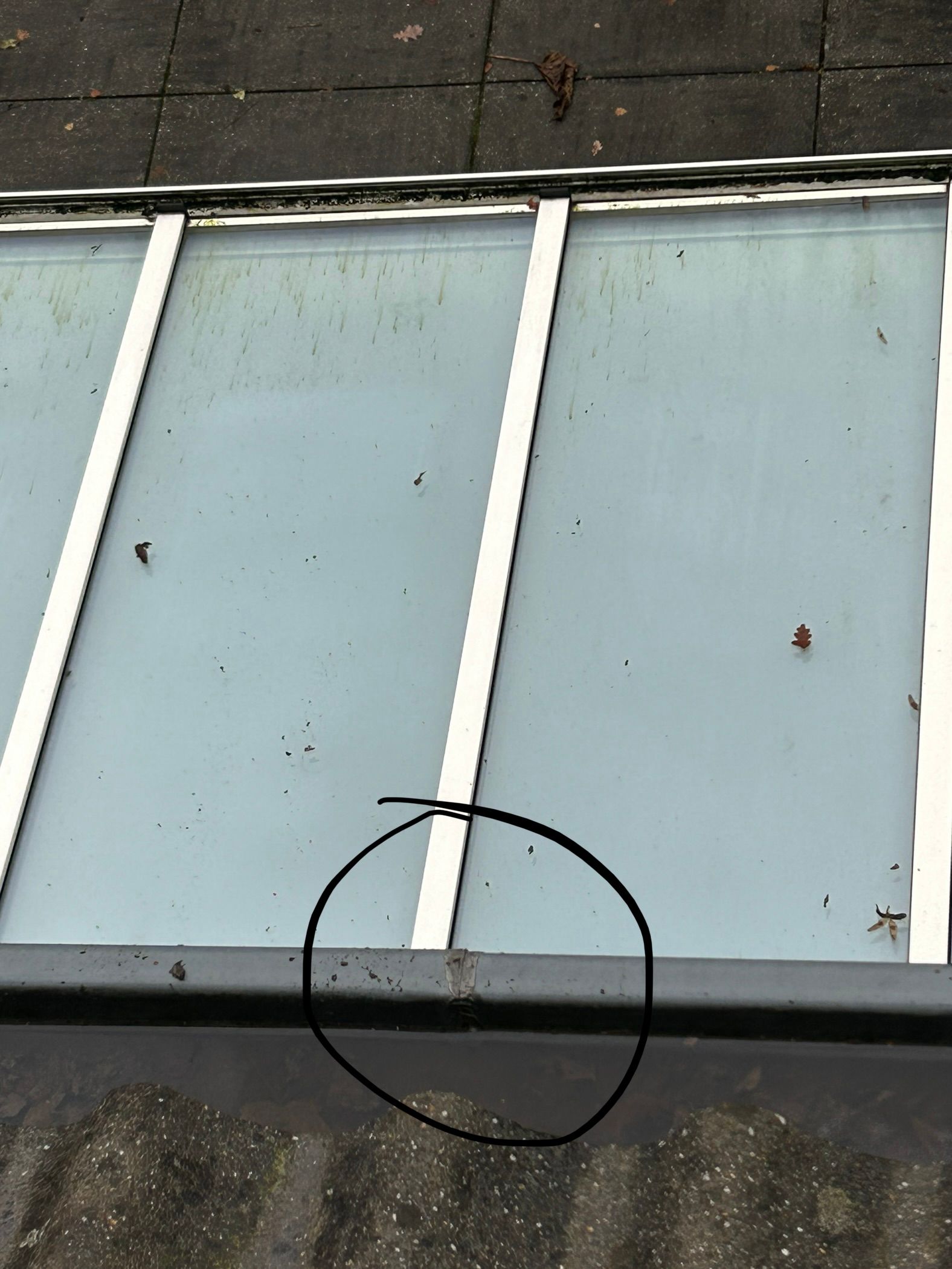Dak of dakgoot repareren 8 m²; Dakgoten, Onderste balk onder dak,... Werkspot
