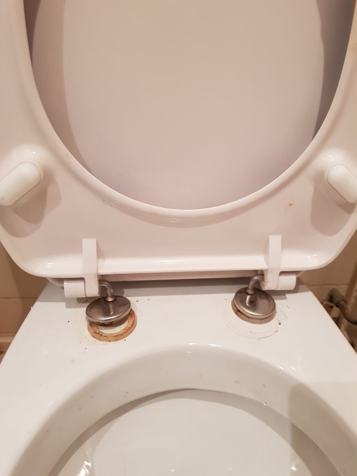 Verst intellectueel Spreek uit Toilet repareren: Toilet repareren: wc bril zit los - Werkspot