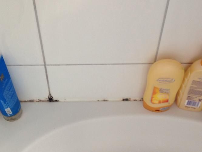 Voorkom Lekkages En Schimmel: Badkamer Kitten