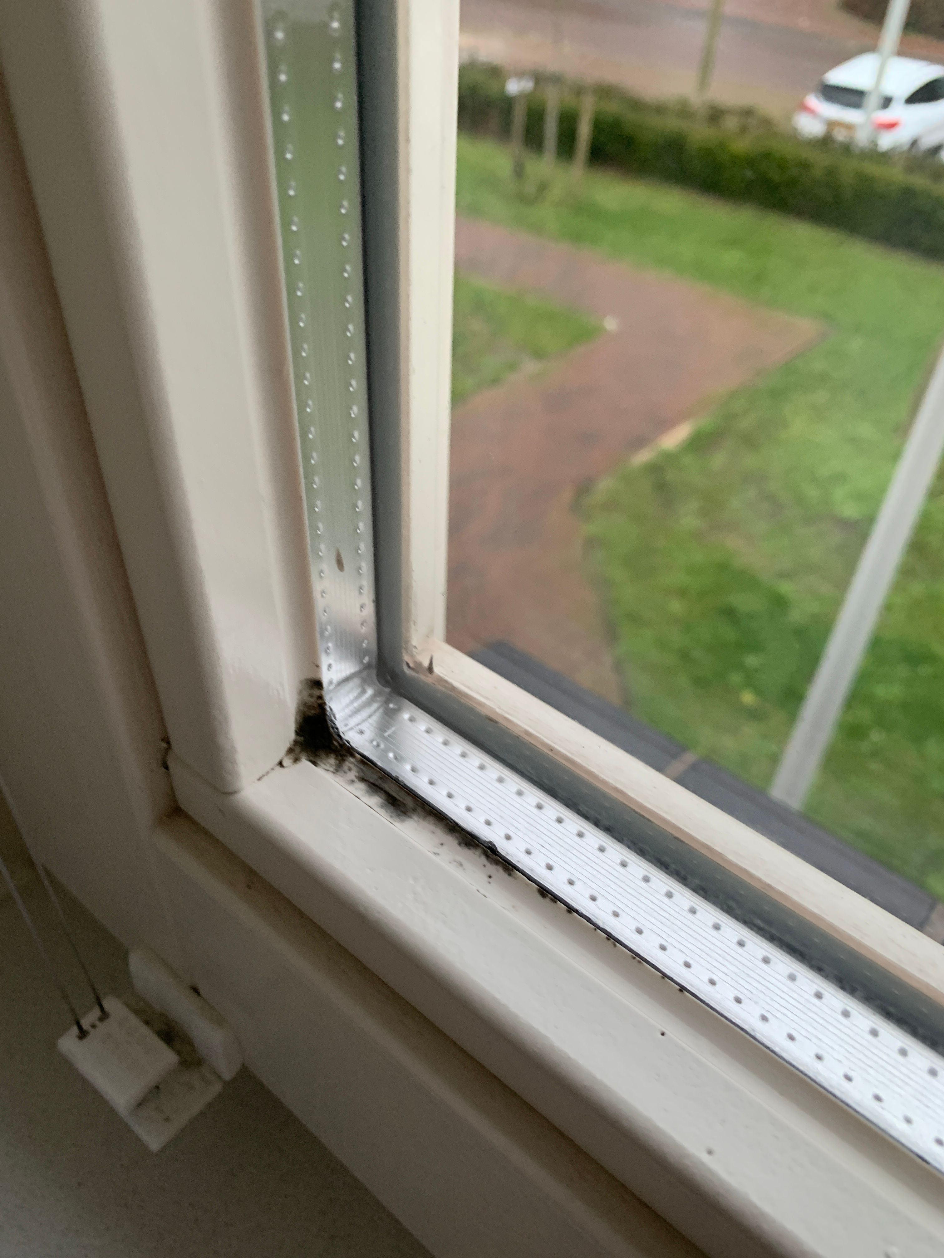 Kitten Douche, Raam Werkspot