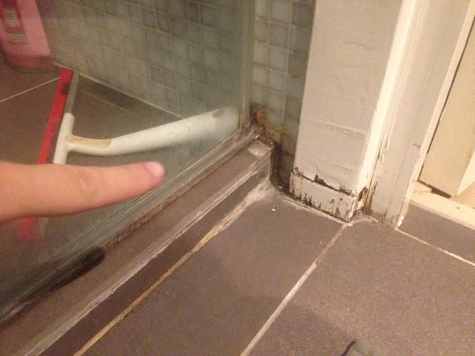 Kitten en voegen nav lekkage douche Werkspot