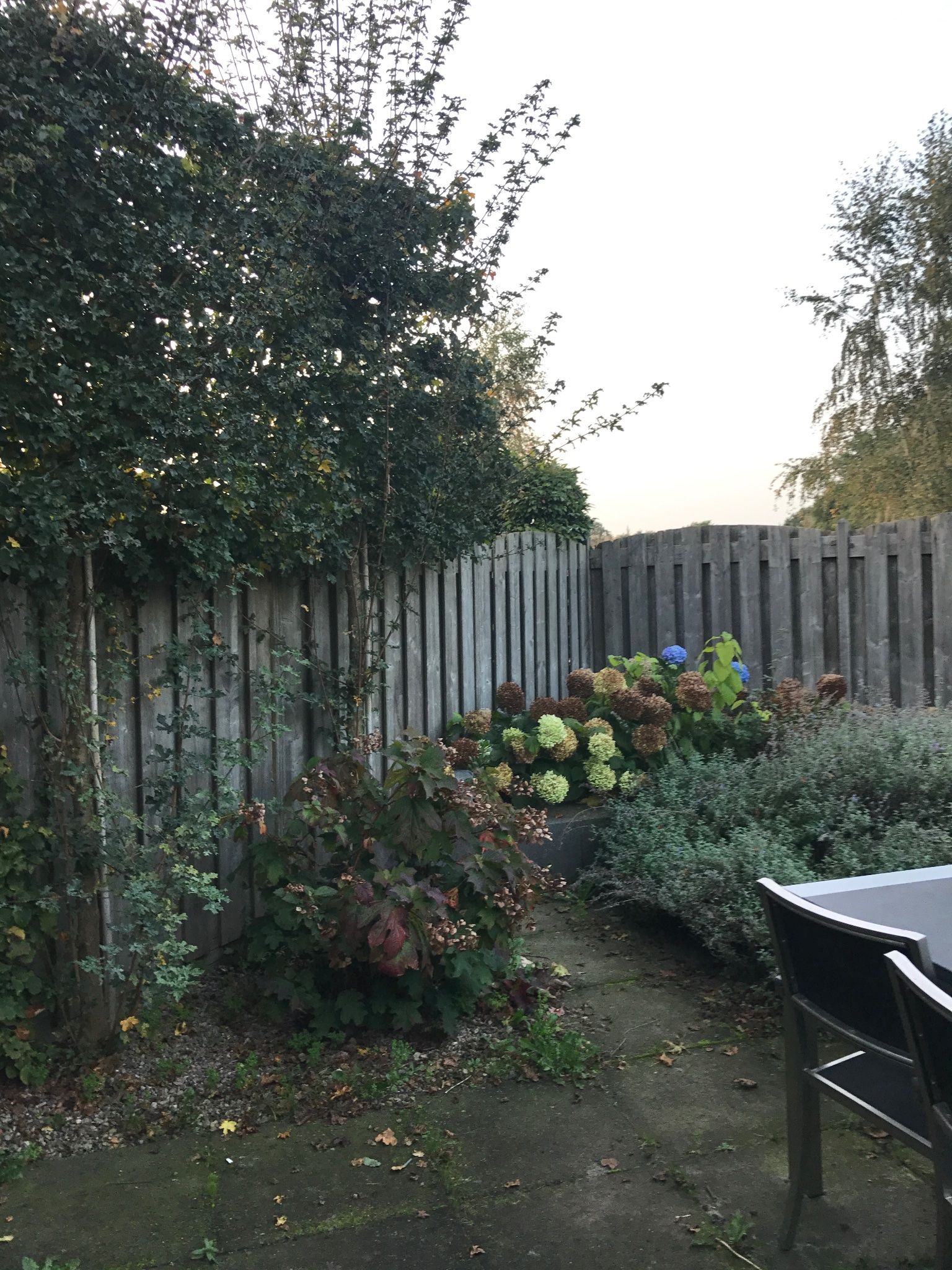 Tuin snoeien en winterklaar maken, onkruid weg. Werkspot