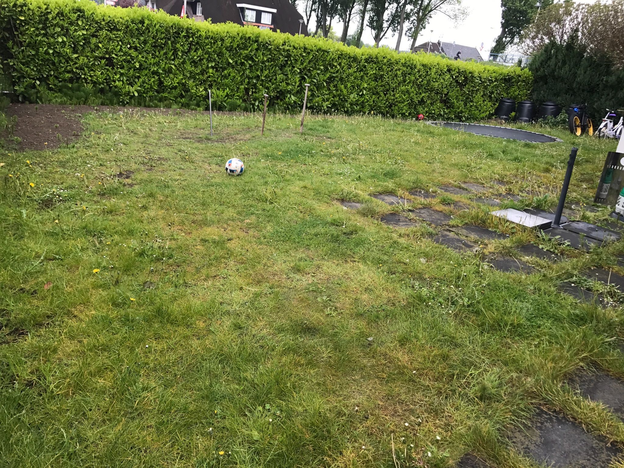 Gazon frezen en verwijderen en egaliseren Werkspot