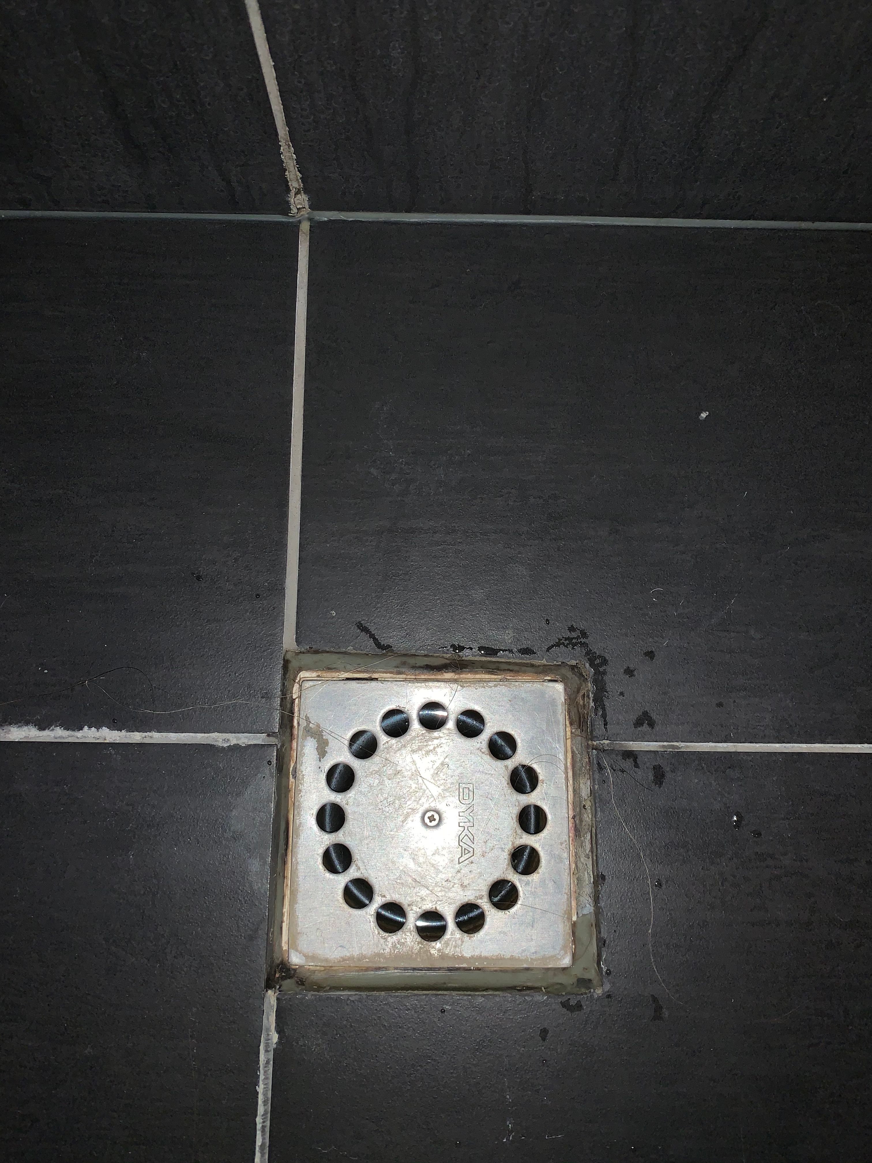 Kitten Douche, Tegels, Doucheputje Werkspot