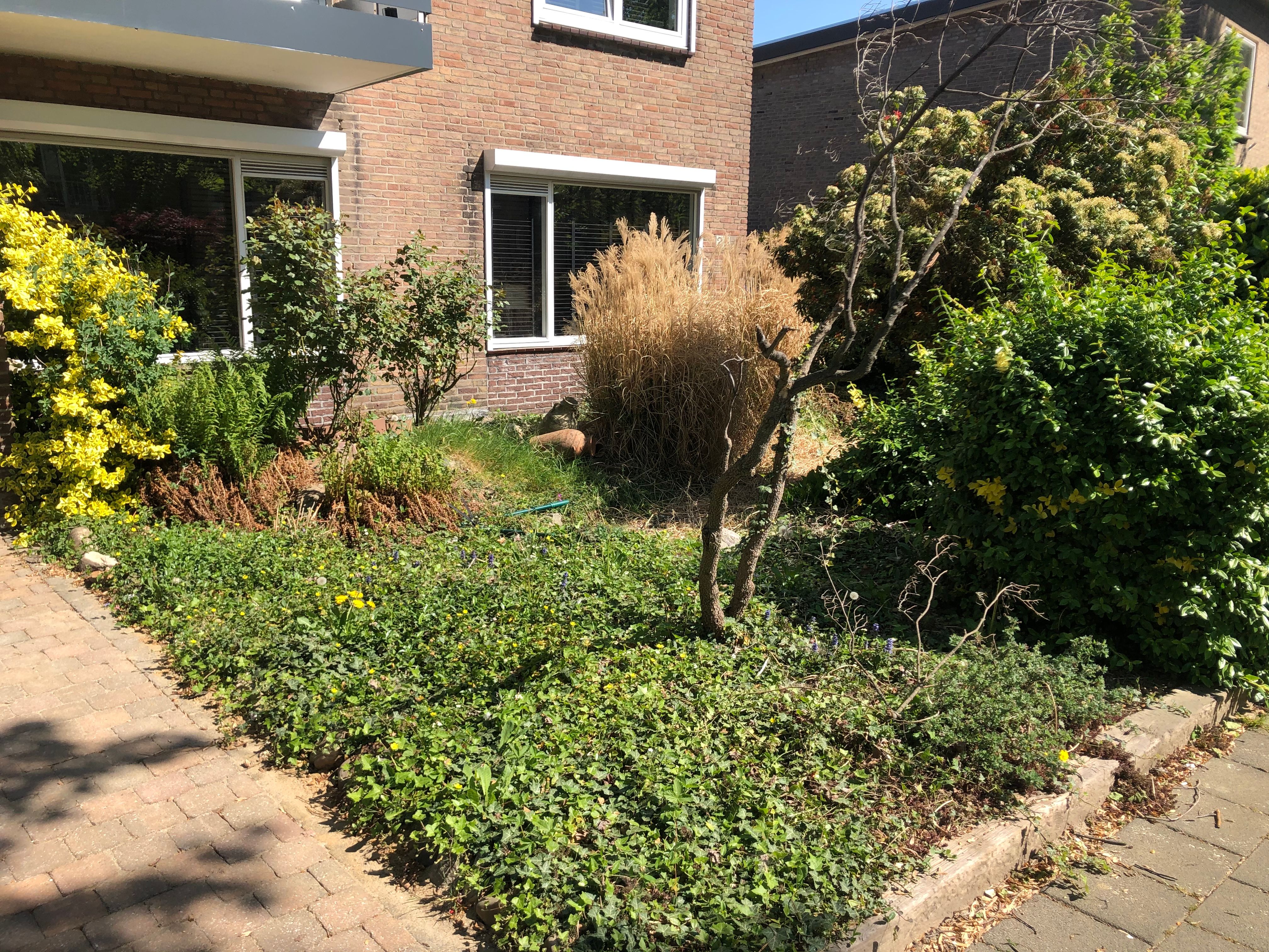 Tuin Alles uit de tuin verwijderen; Werkspot