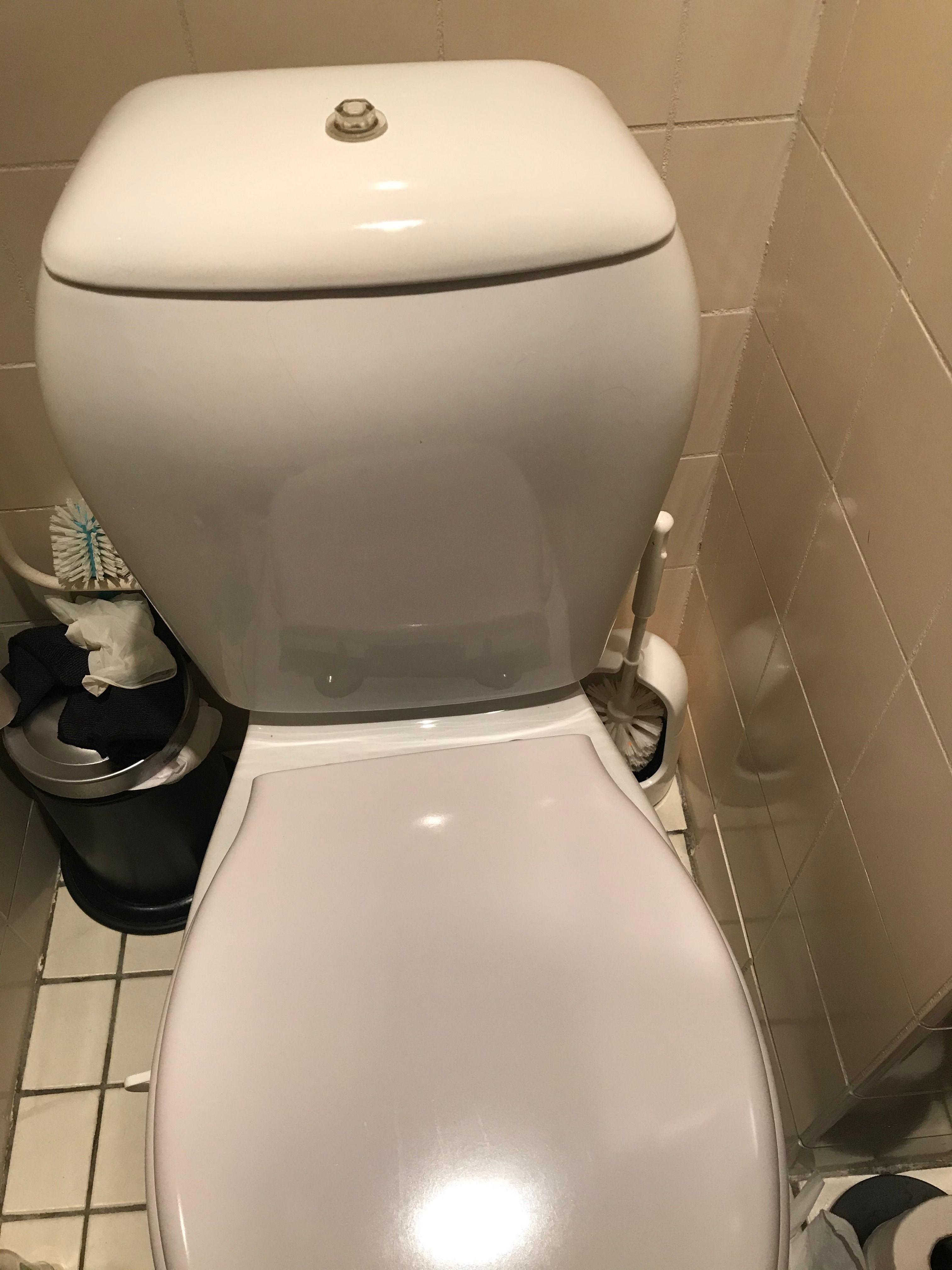 Sanitair plaatsen of vervangen Toilet; Geberit binnenwerk duoblock