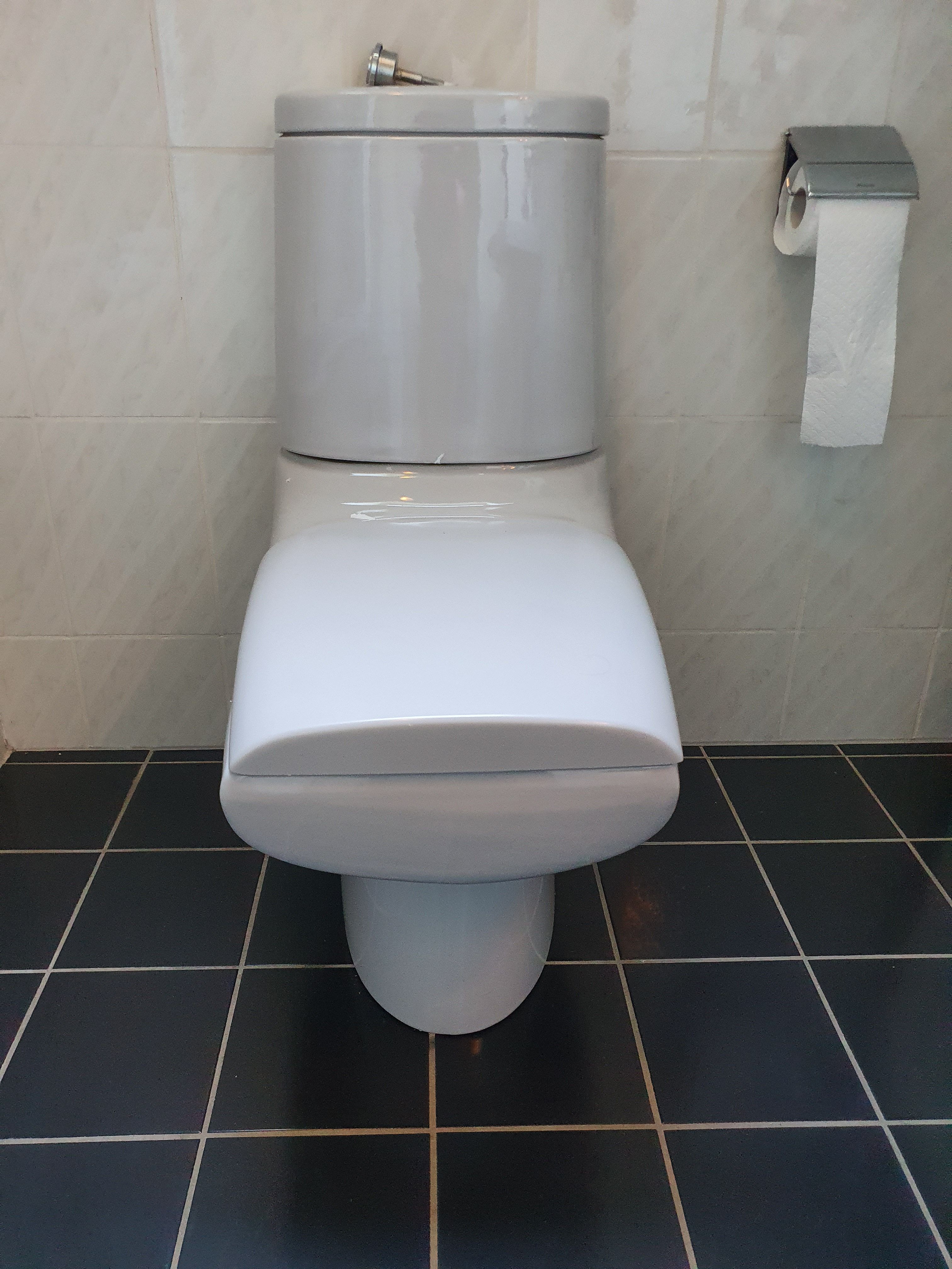 Toilet repareren Doortrekken werkt niet, Spoelbak loopt niet meer... Werkspot