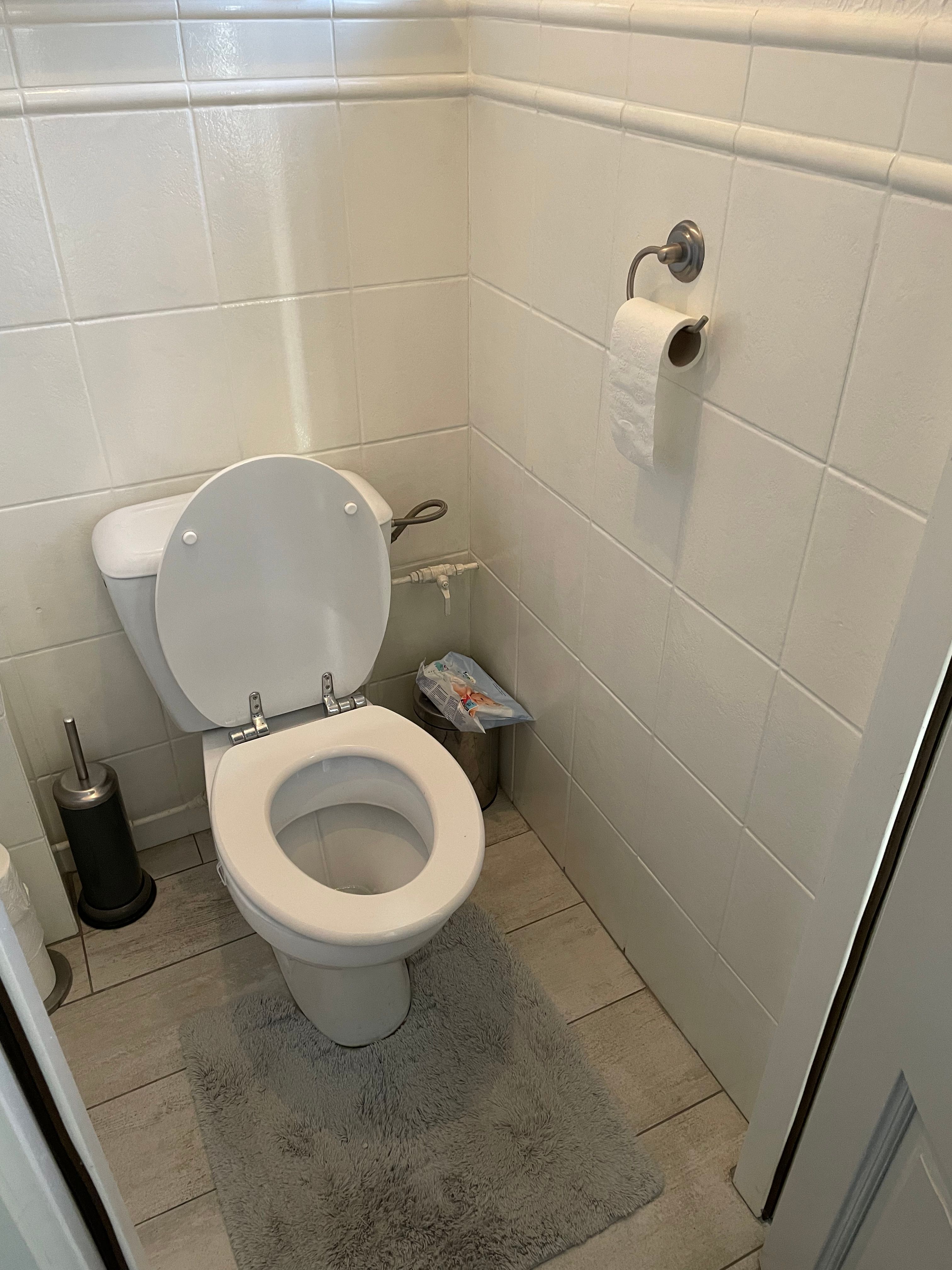 Sanitair plaatsen of vervangen Toilet, Ophangtoilet plaatsen; Sani... Werkspot
