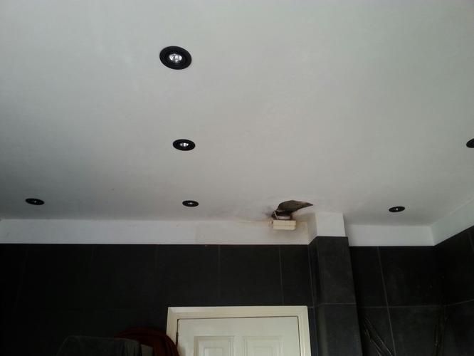 Plafond herstellen badkamer na lekkage Werkspot