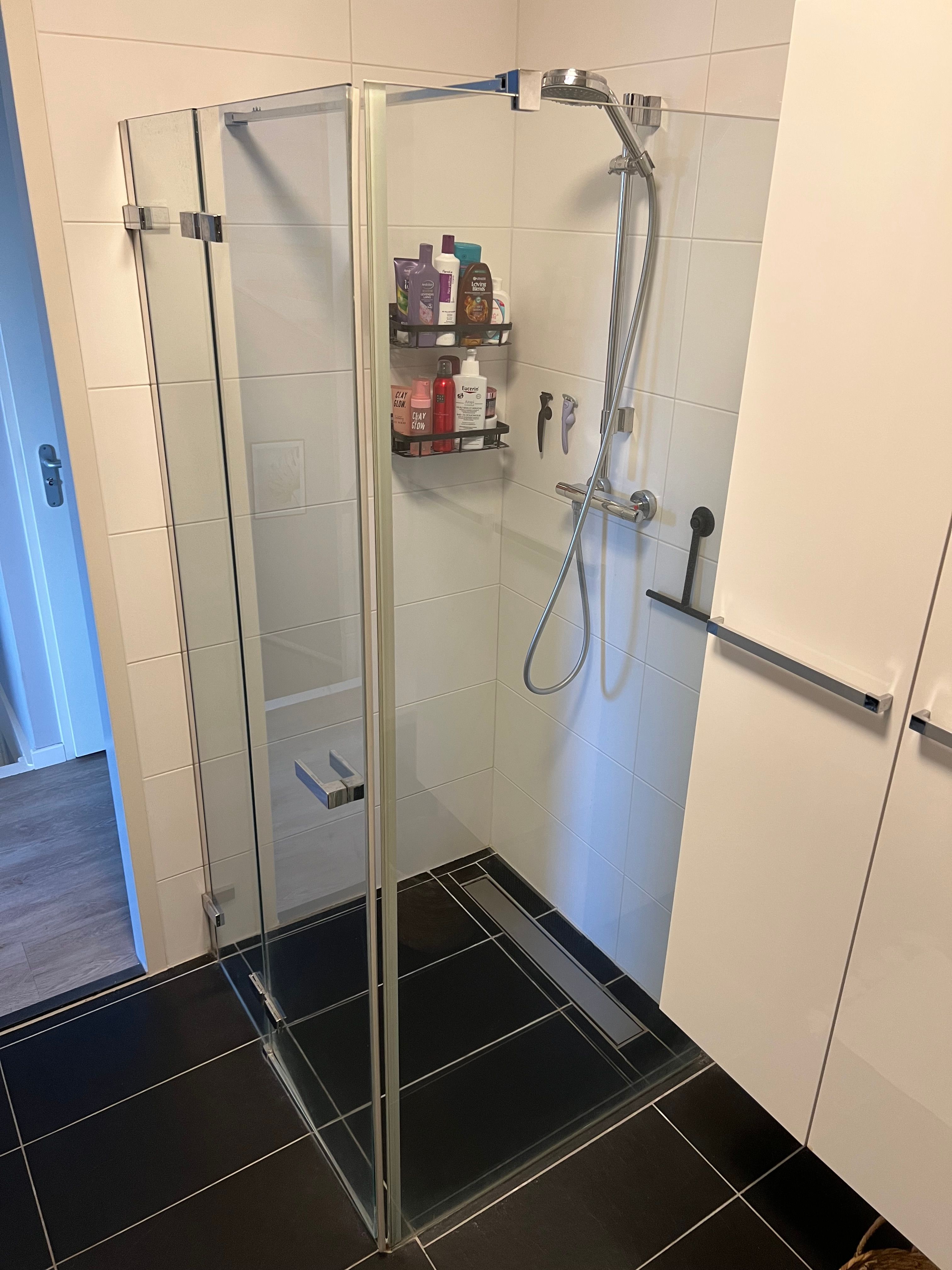 Sanitair plaatsen of vervangen Douche, Douchecabine, douchekraan