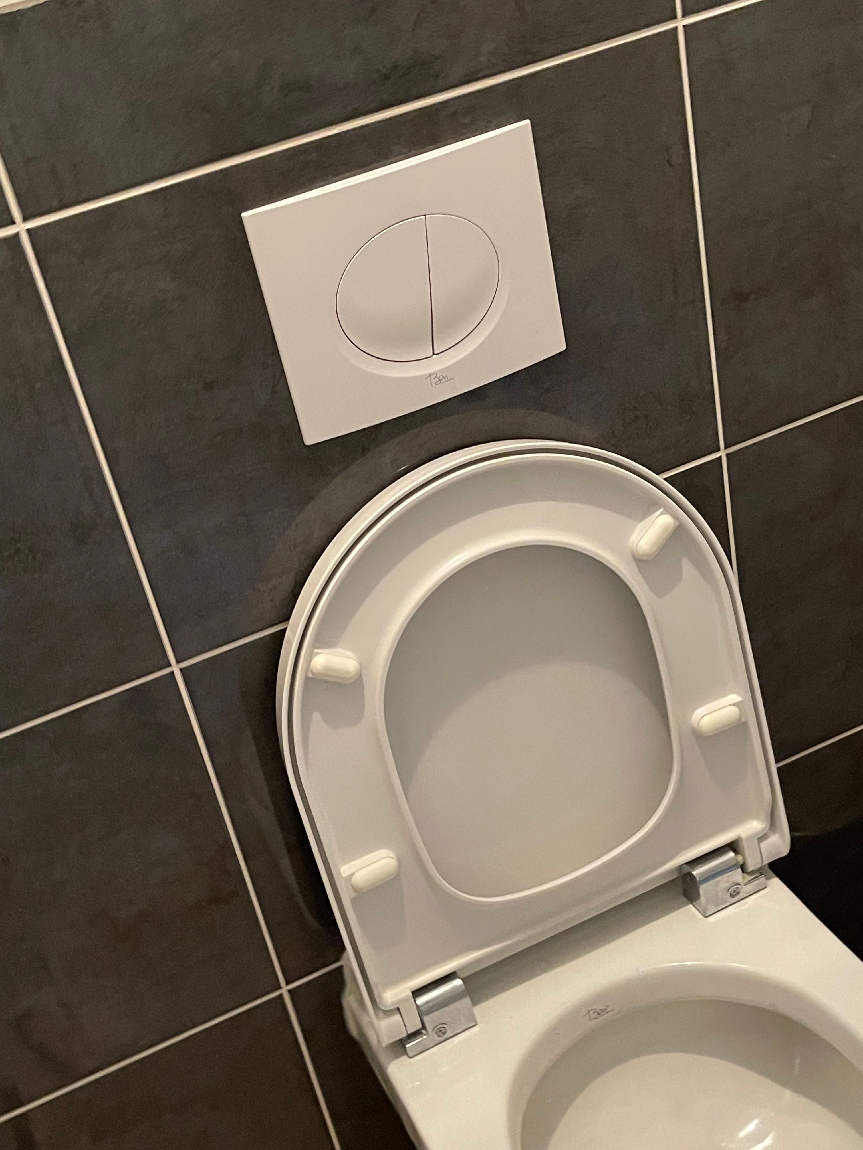 Toilet repareren Doortrekken werkt niet, wcbrillen vervangen Werkspot