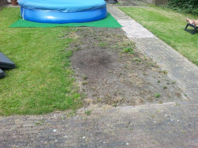 onkruid verwijderen en gazon aanleggen Werkspot