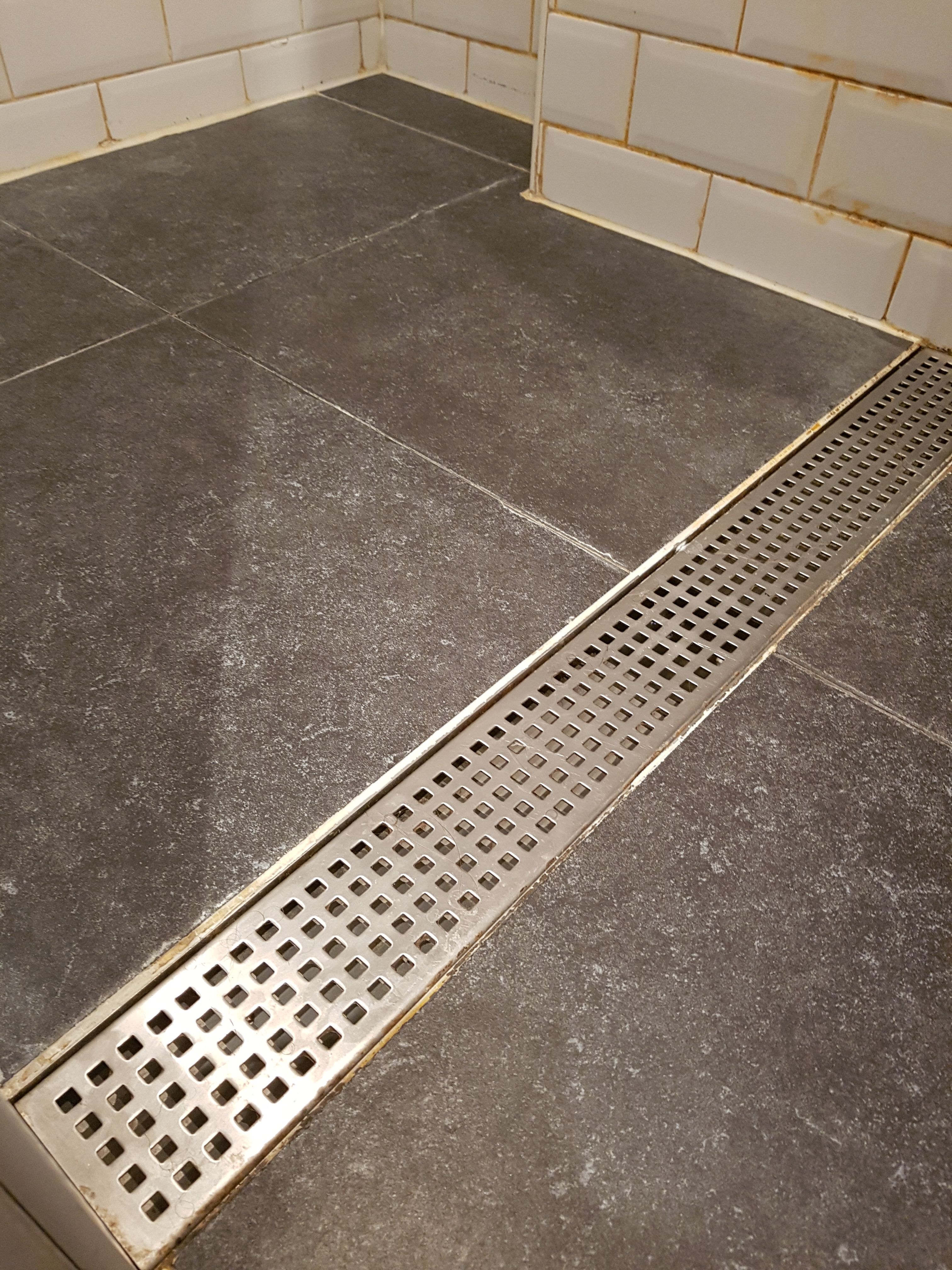 Kitten Tegels, Kitten op de vloer bij de tegels en de afvoer Werkspot