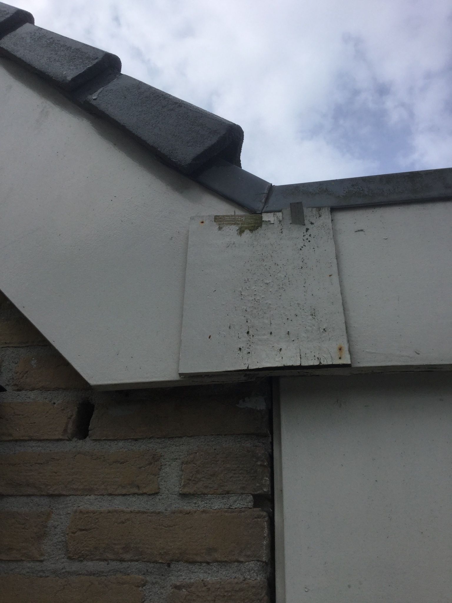 Zijpaneel garage vernieuwen - Werkspot