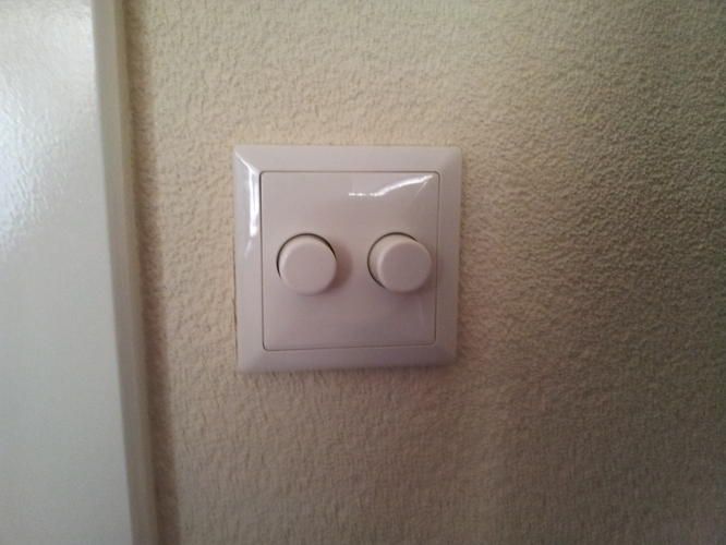 Dimmers vervangen/2 lampen ophangen Werkspot