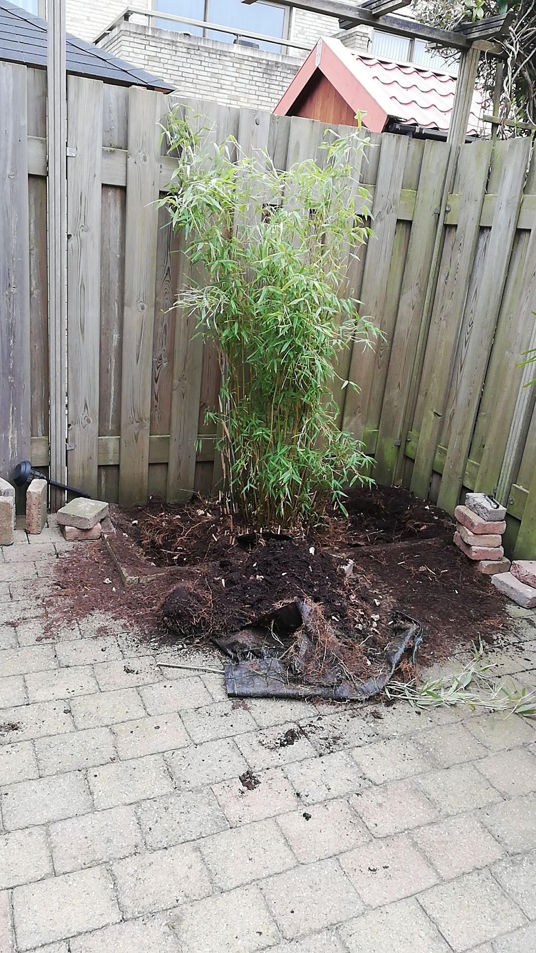 Tuinonderhoud 30 m2; Bamboe struik verwijderen Werkspot