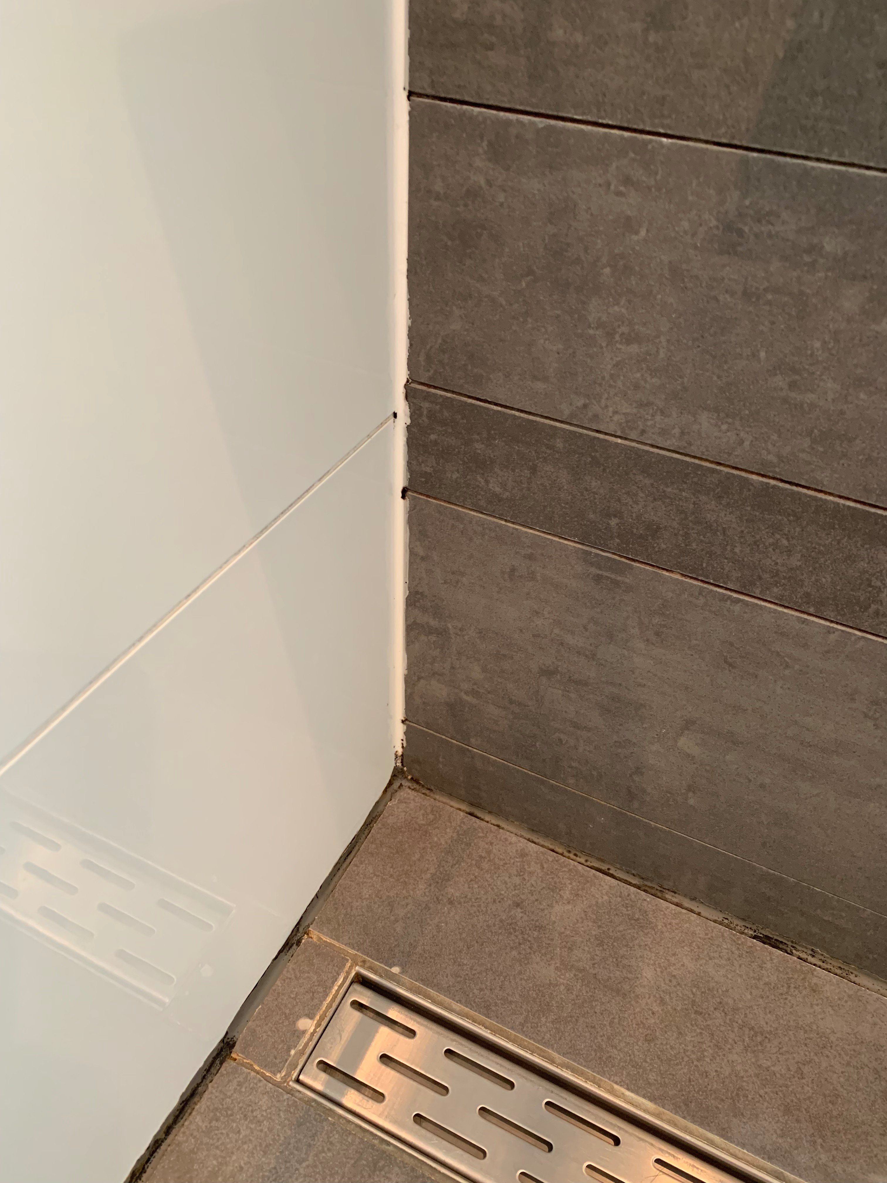 Kitten Douche Werkspot