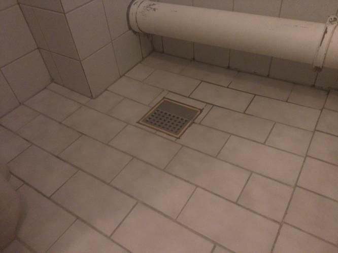 De Kosten Van Het Laten Kitten Van Jouw Badkamer