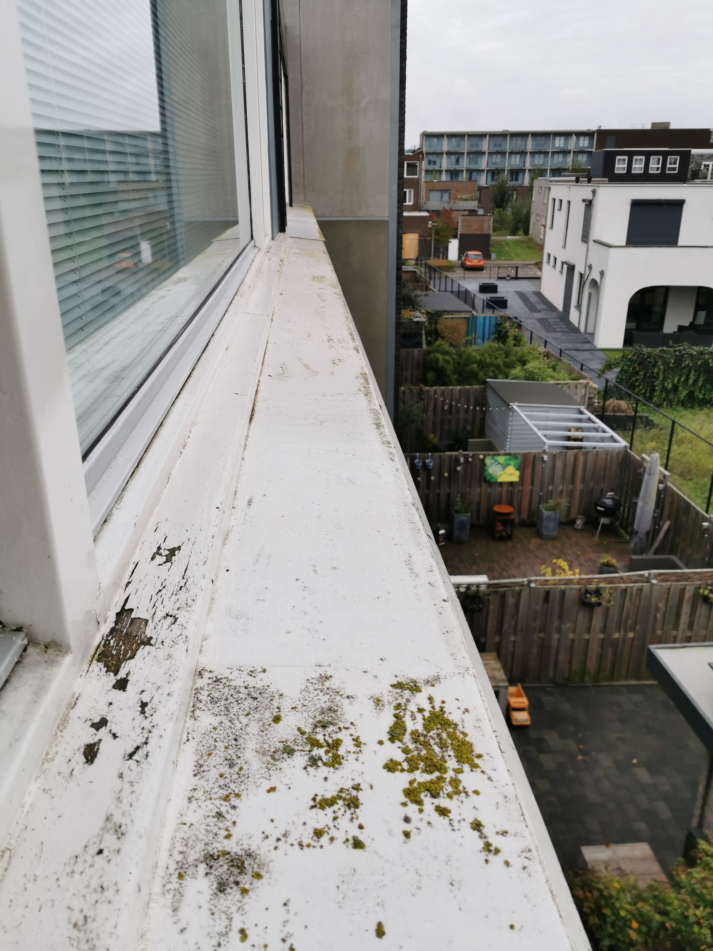 Dak of dakgoot repareren Afwatering hout onder raam vervangen; Rep... Werkspot