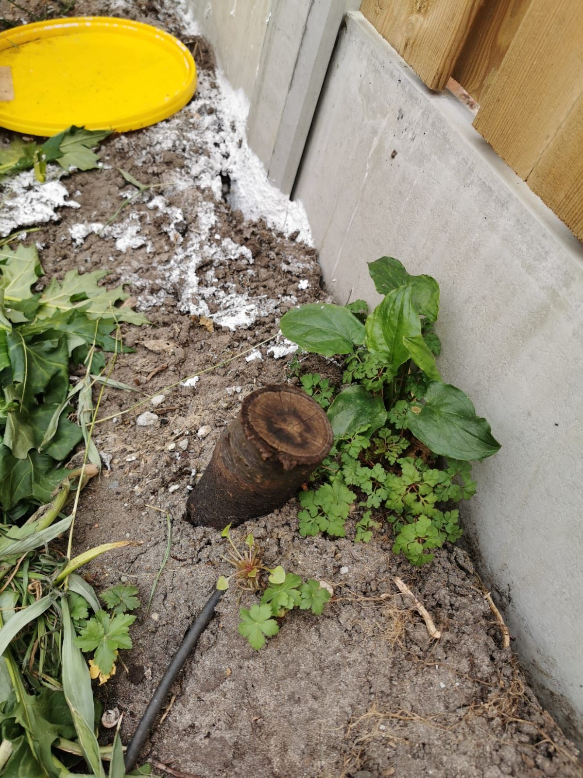 Bestrating: 60 m2; Tuin of Patio; Tegels - Werkspot