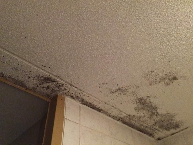 Verlost Van Schimmel In Badkamer: Effectieve Oplossingen