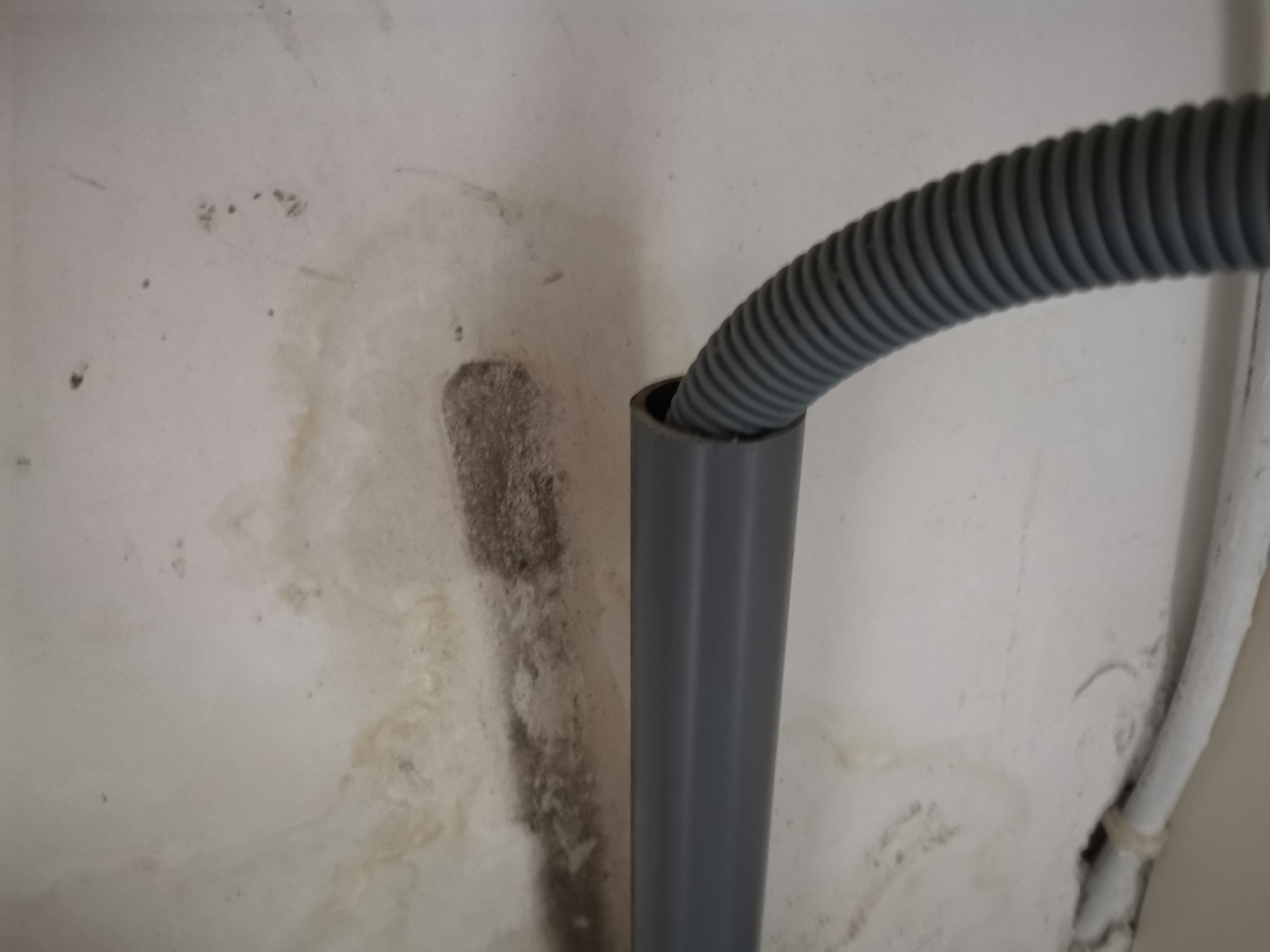 Riolering en afvoer Afvoer verstopt, Rioollucht in huis Werkspot