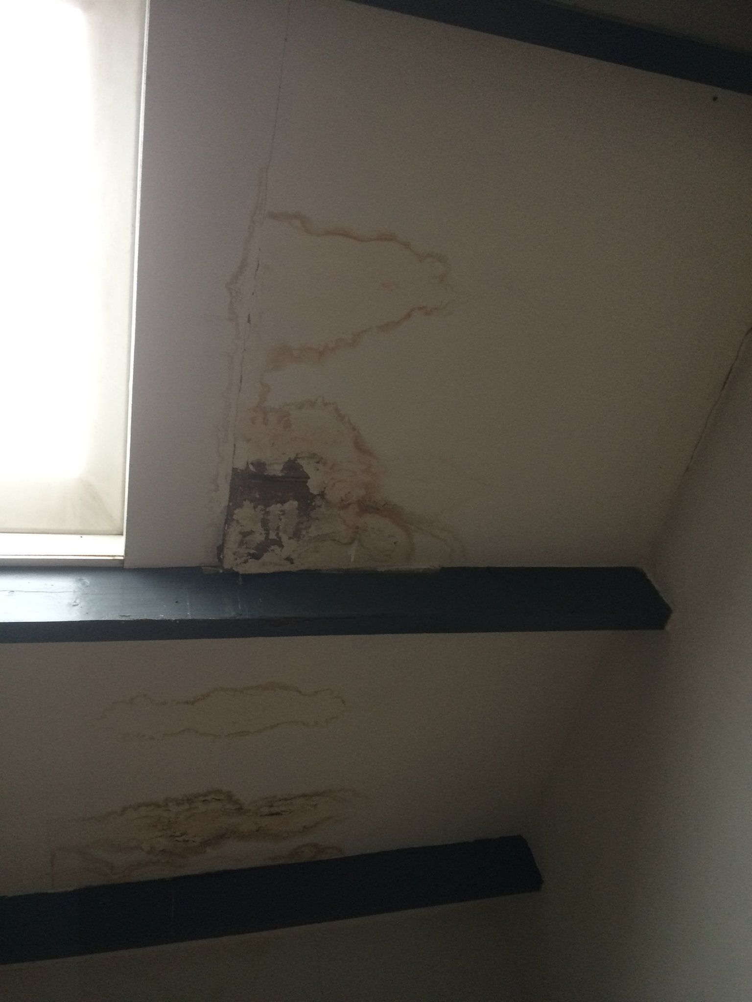 Zolder plafondplaat repareren en schilderen (na lekkage) Werkspot