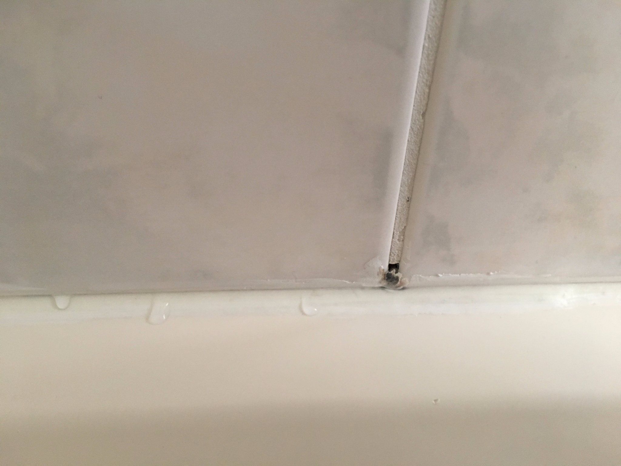 Voegen en kitten in douche Werkspot