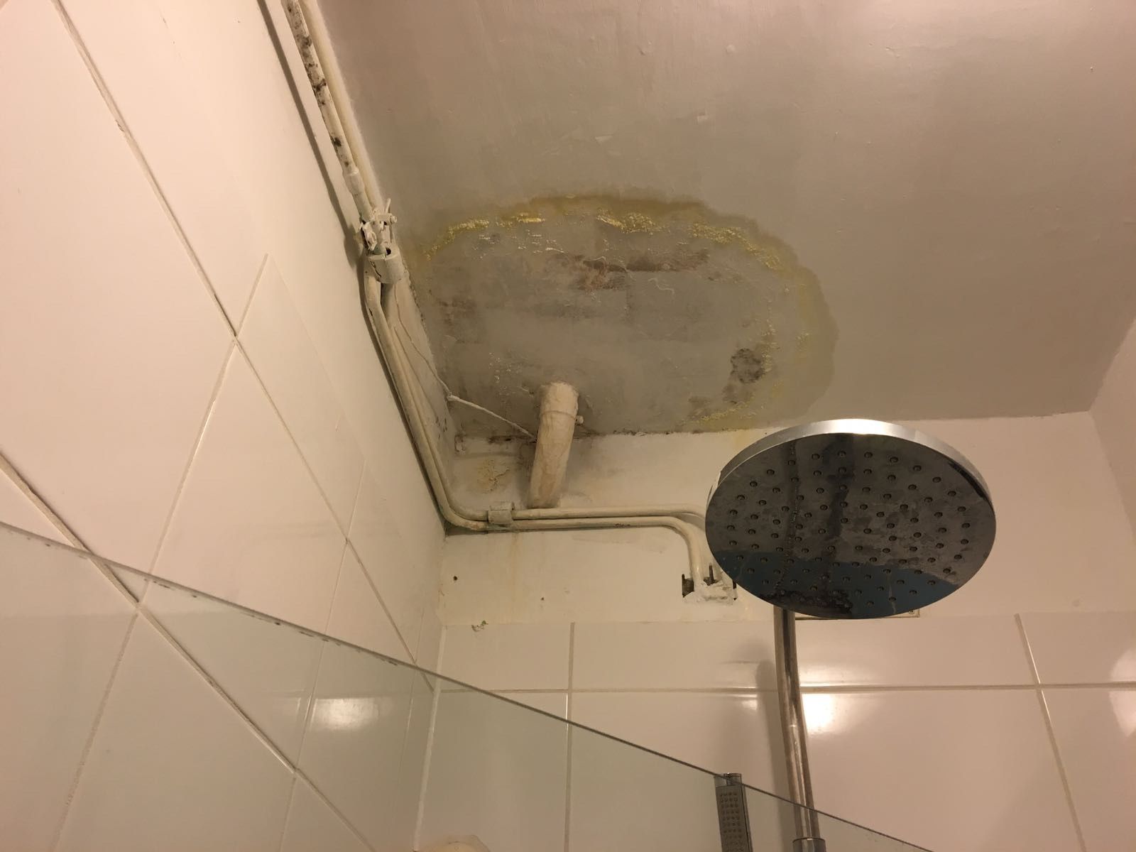 14+ Badkamer Plafond Witten