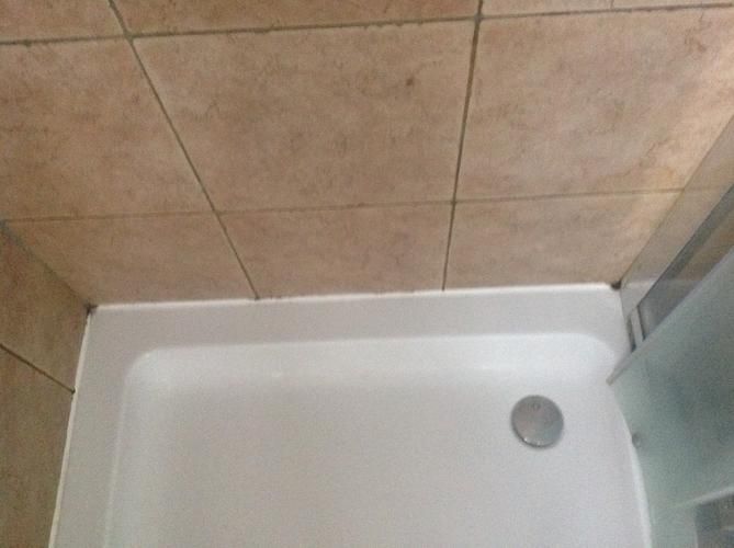 Verhelpen lekkage douche, vermoedelijk opnieuw kitten Werkspot