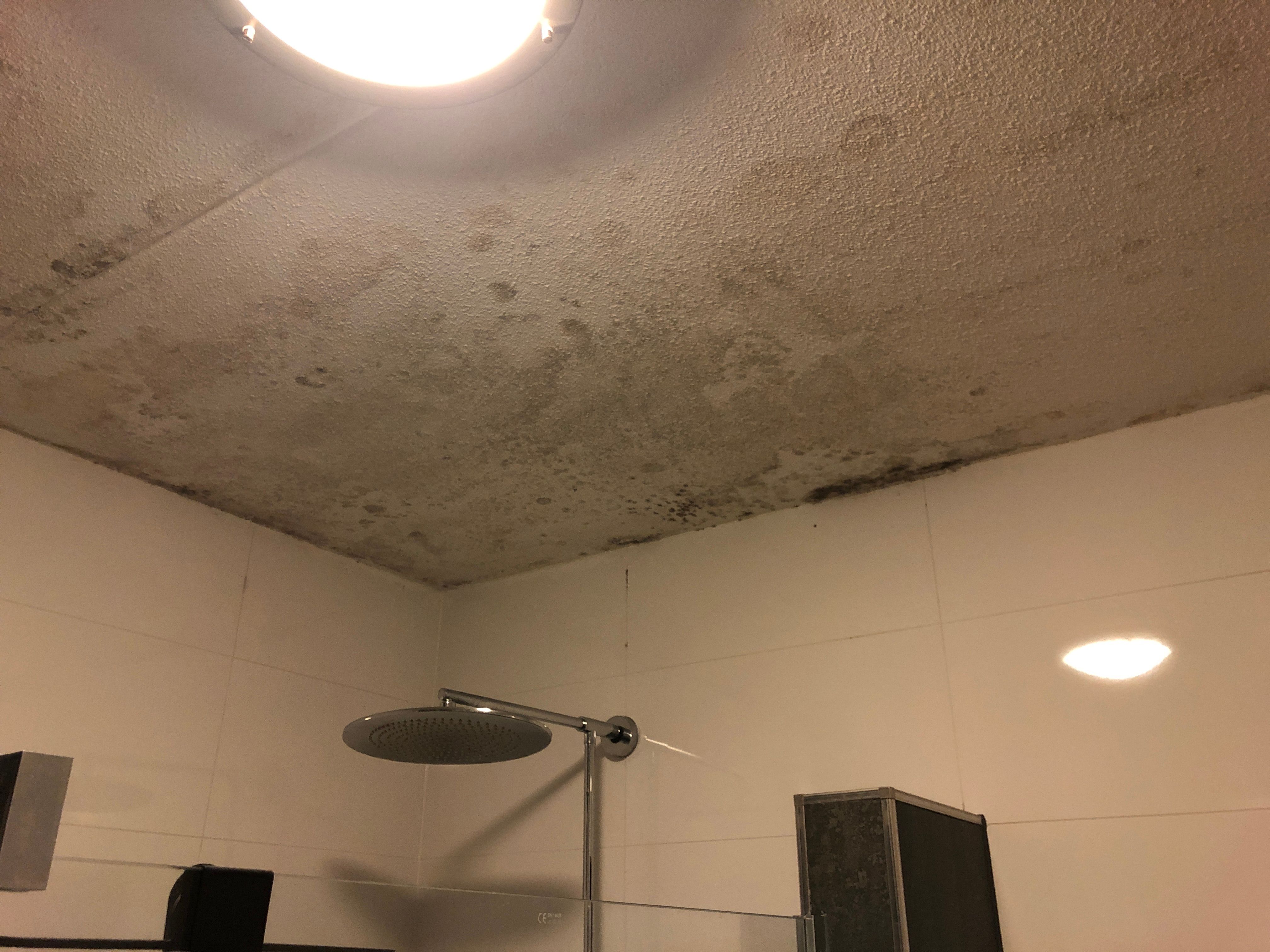 Stralend Schone Badkamer Met Schimmel Plafond
