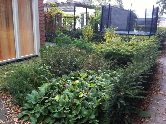 Tuin Winterklaar maken Werkspot