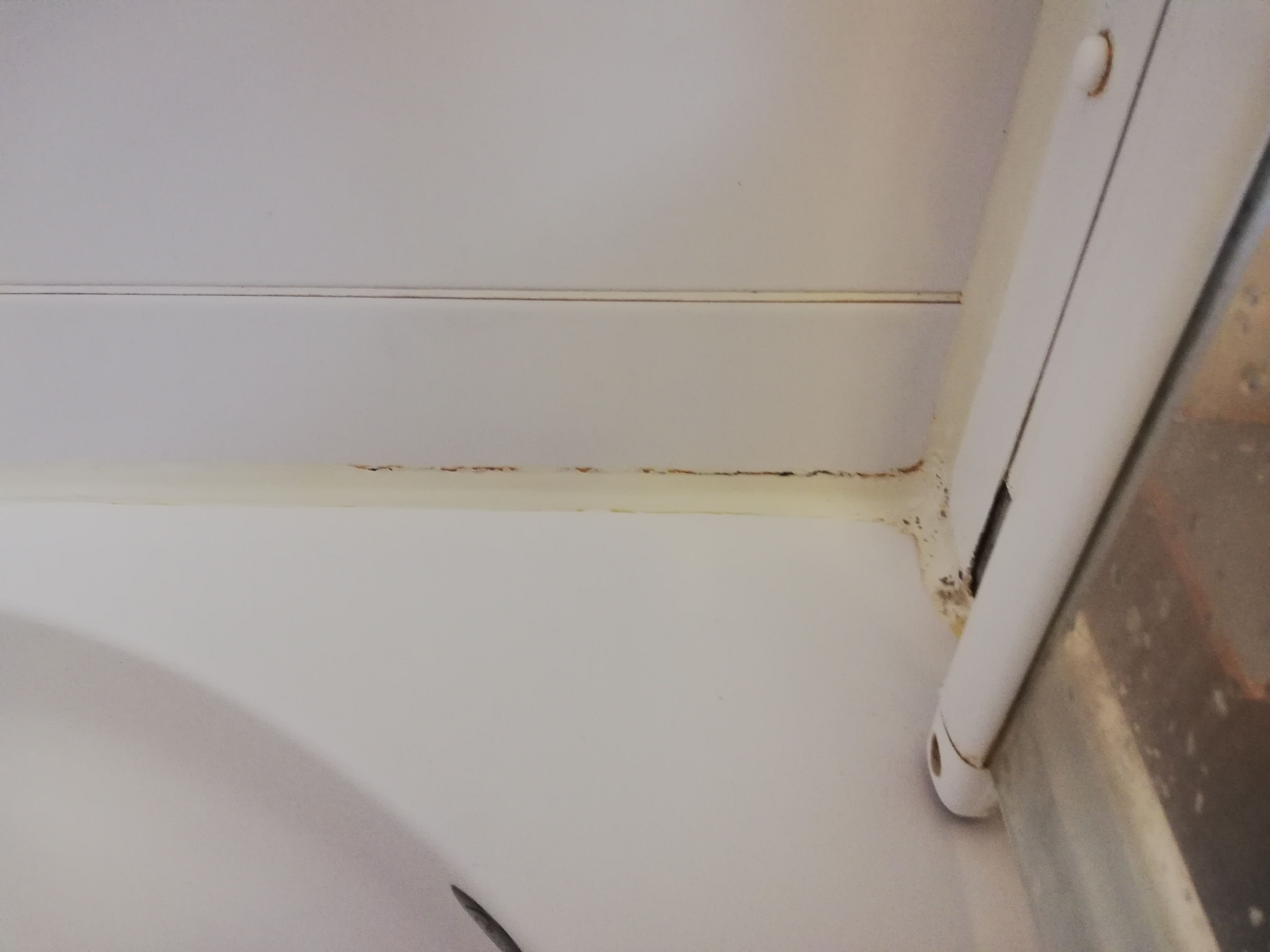 Badkamer Vervangen kitrand, reparatie voegen van douchecabine Werkspot