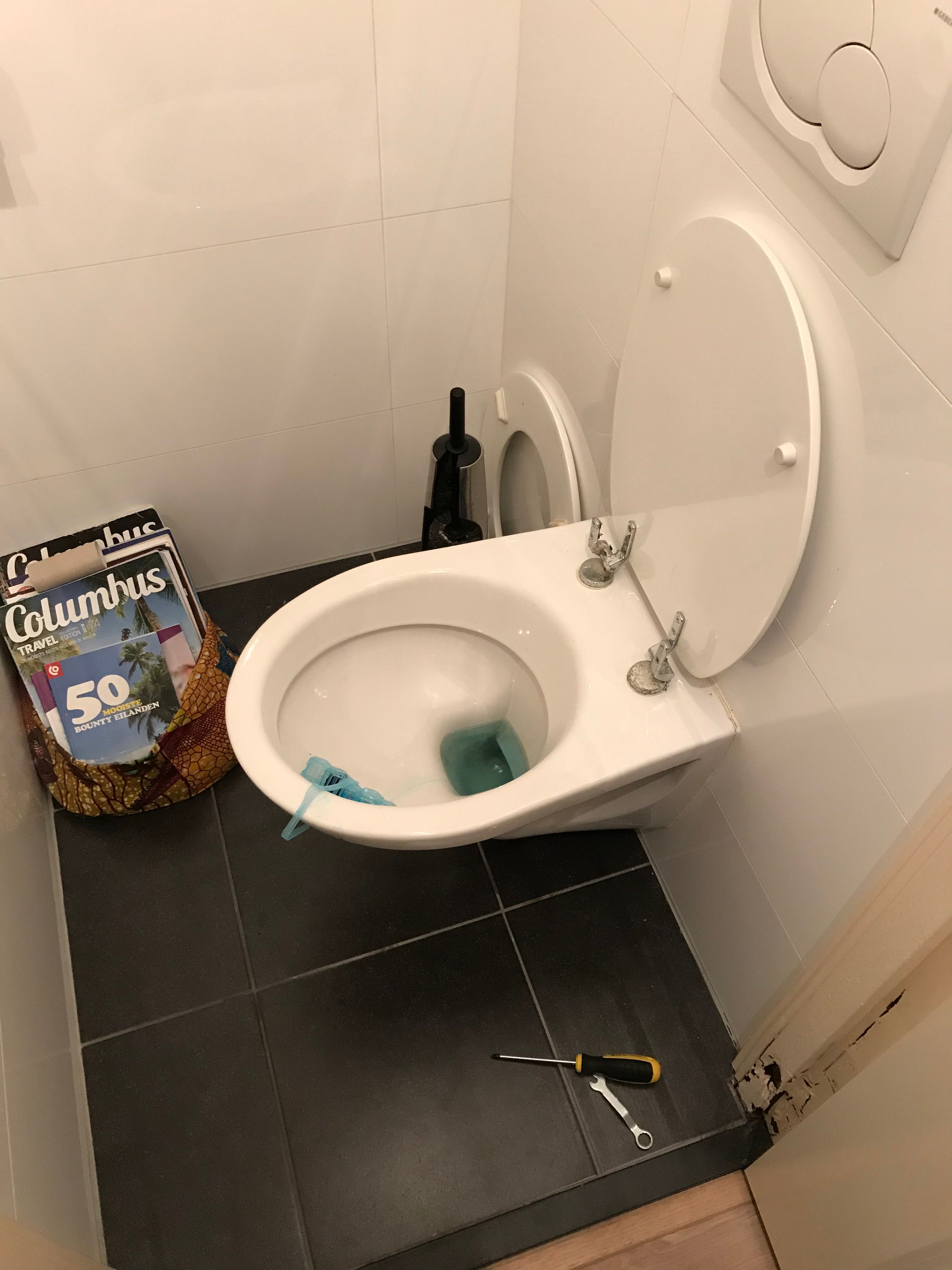 Toilet repareren WC bril vervangen Werkspot