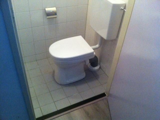 leggen in een toilet - Werkspot