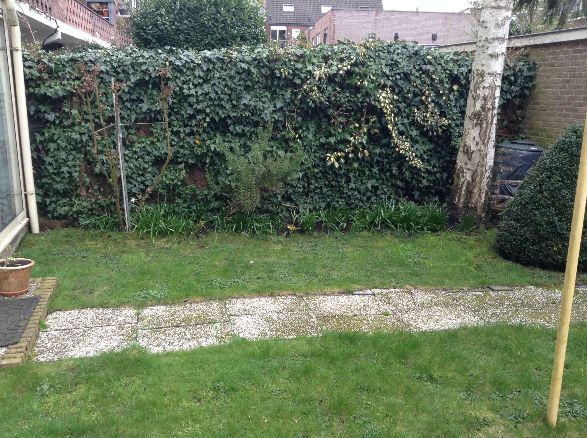 Oude gazon verwijderen en nieuwe gazon leggen Werkspot