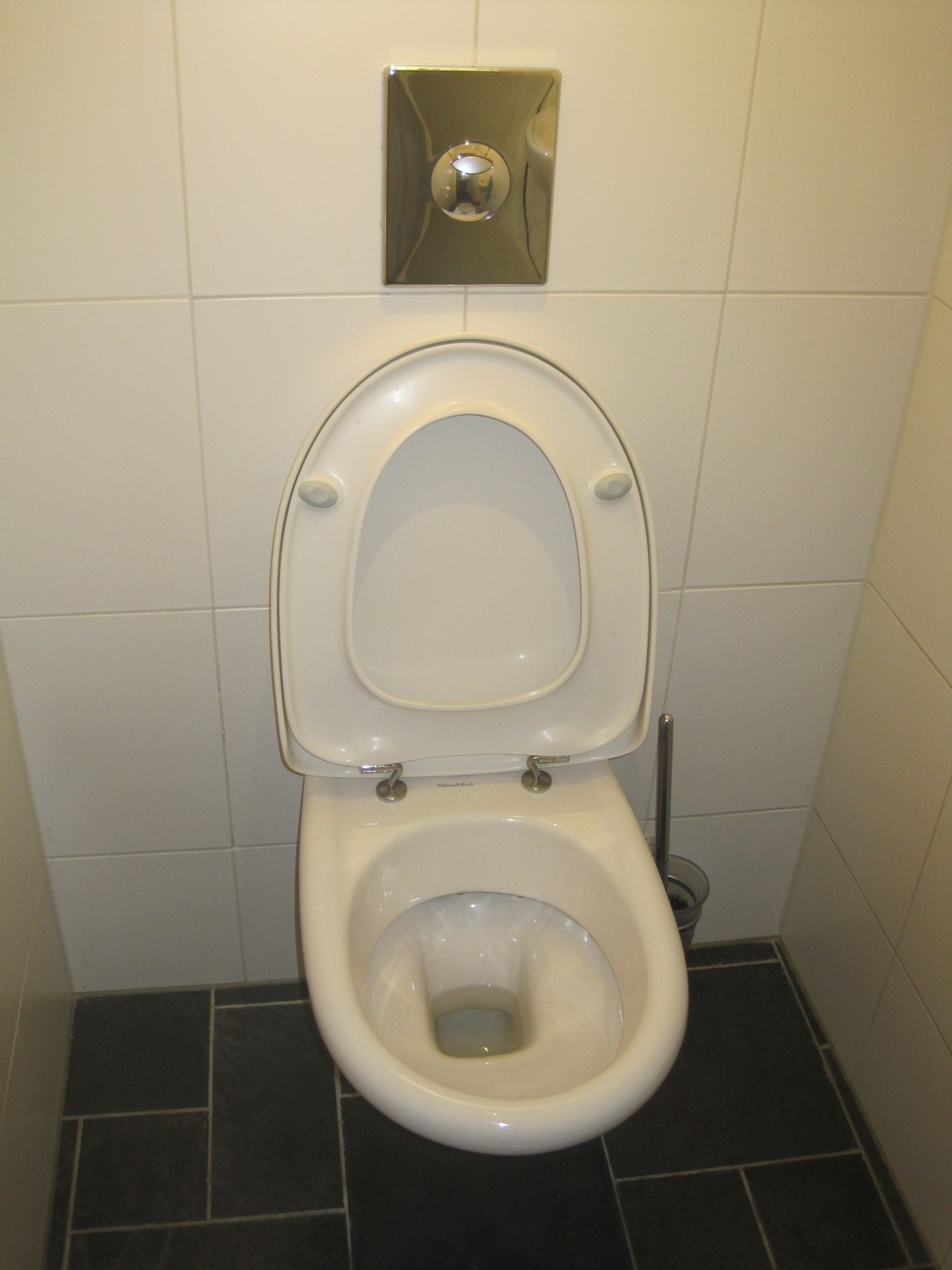 Toilet repareren toiletpot vervangen Werkspot