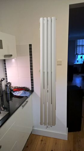 Pelagisch ding oppakken Selectie en plaatsing design radiator in keuken - Werkspot