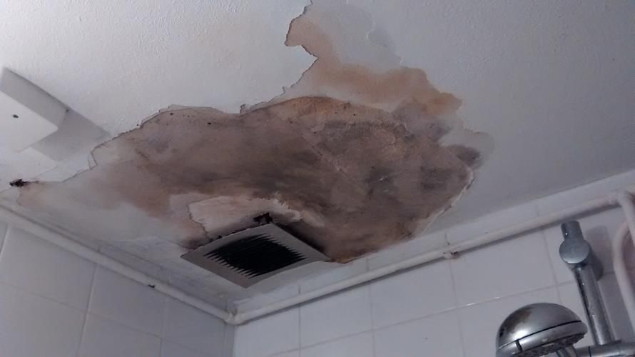 Verfrissend Douchen Met Onze Ventilator Badkamer Plafond