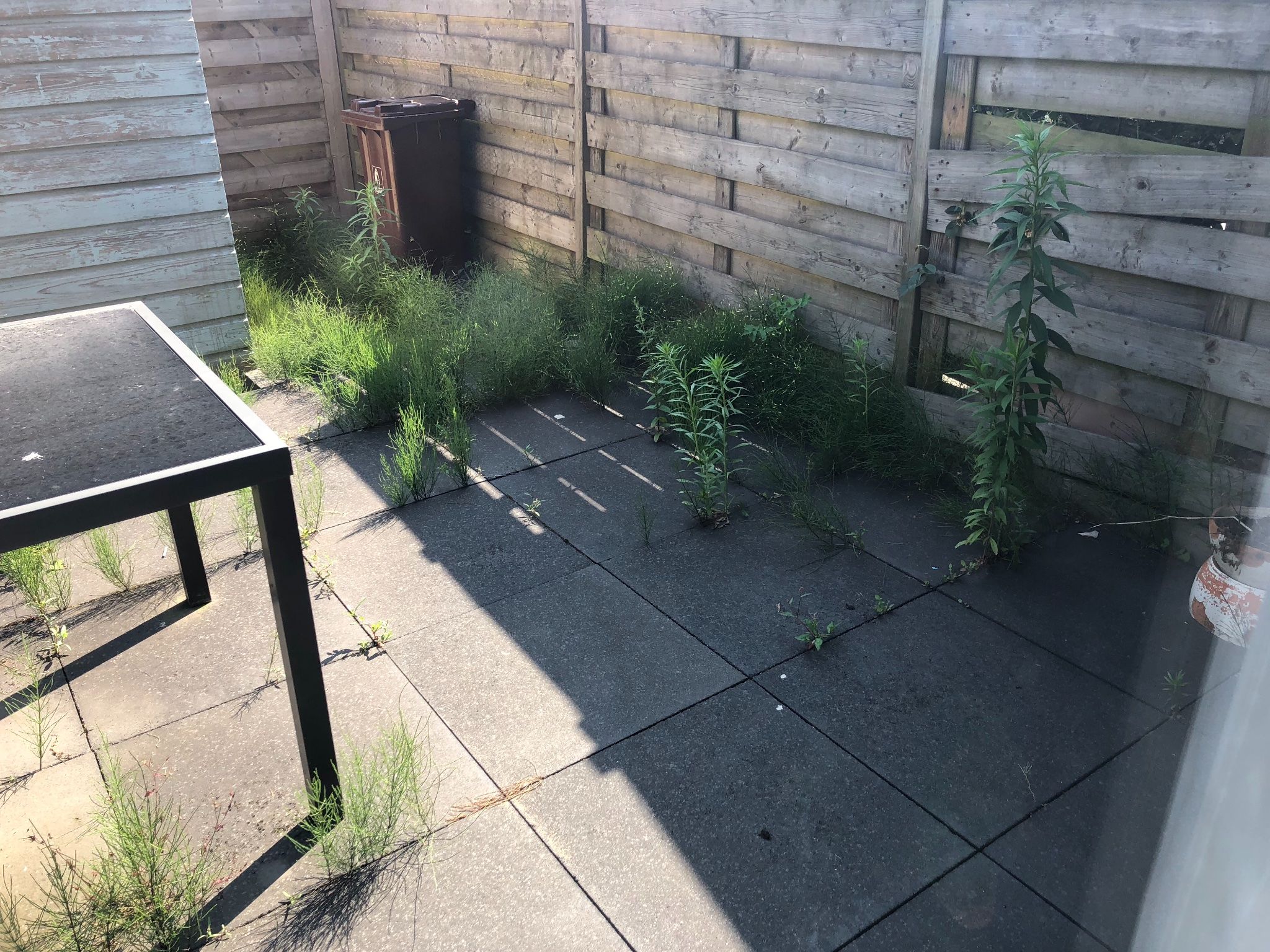 Tuin onkruid verwijderen Werkspot