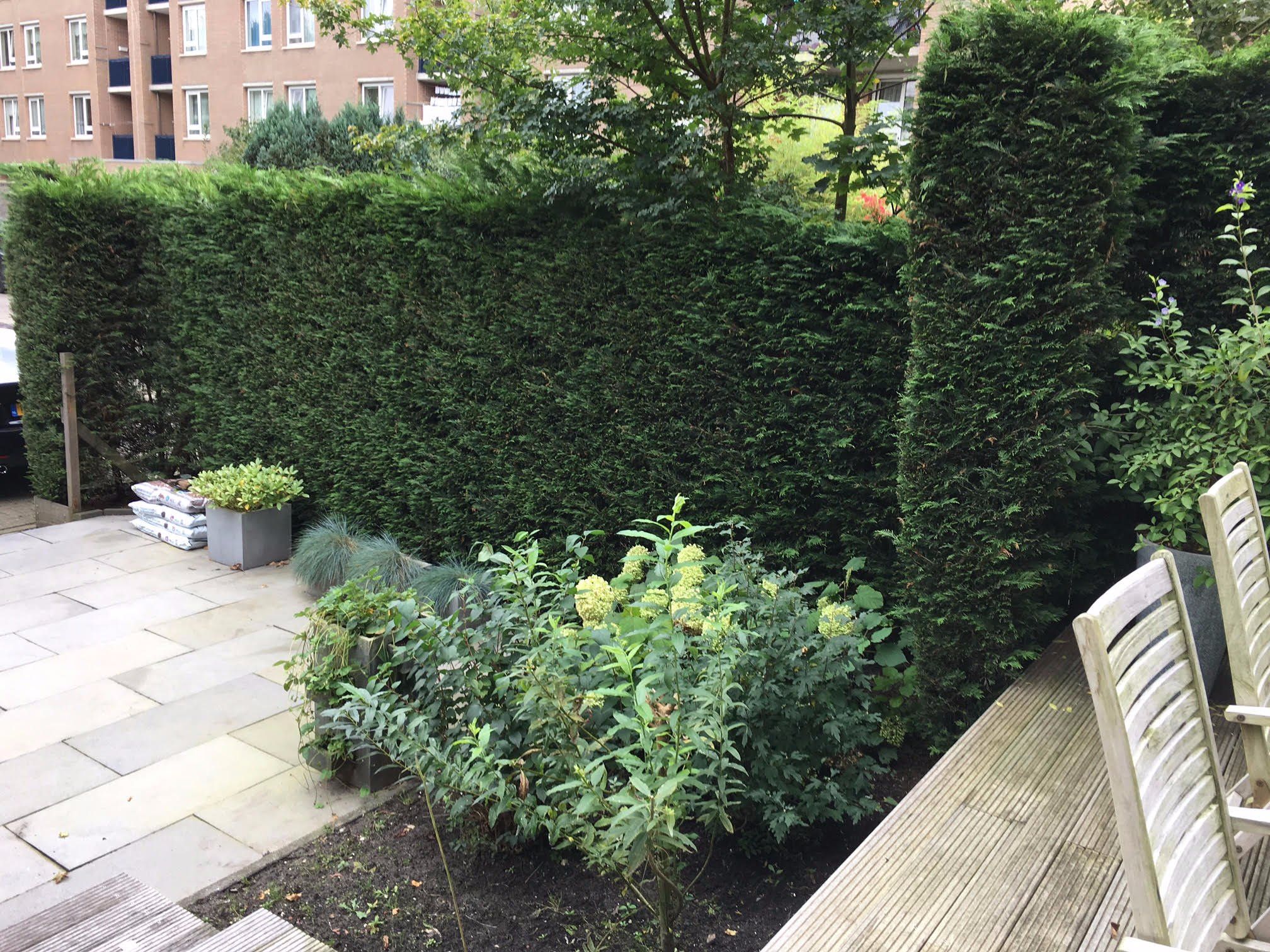 Tuin winterklaar maken Werkspot