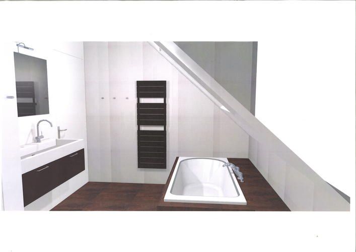 Renovatie badkamer onder schuin dak plus een toilet. Werkspot