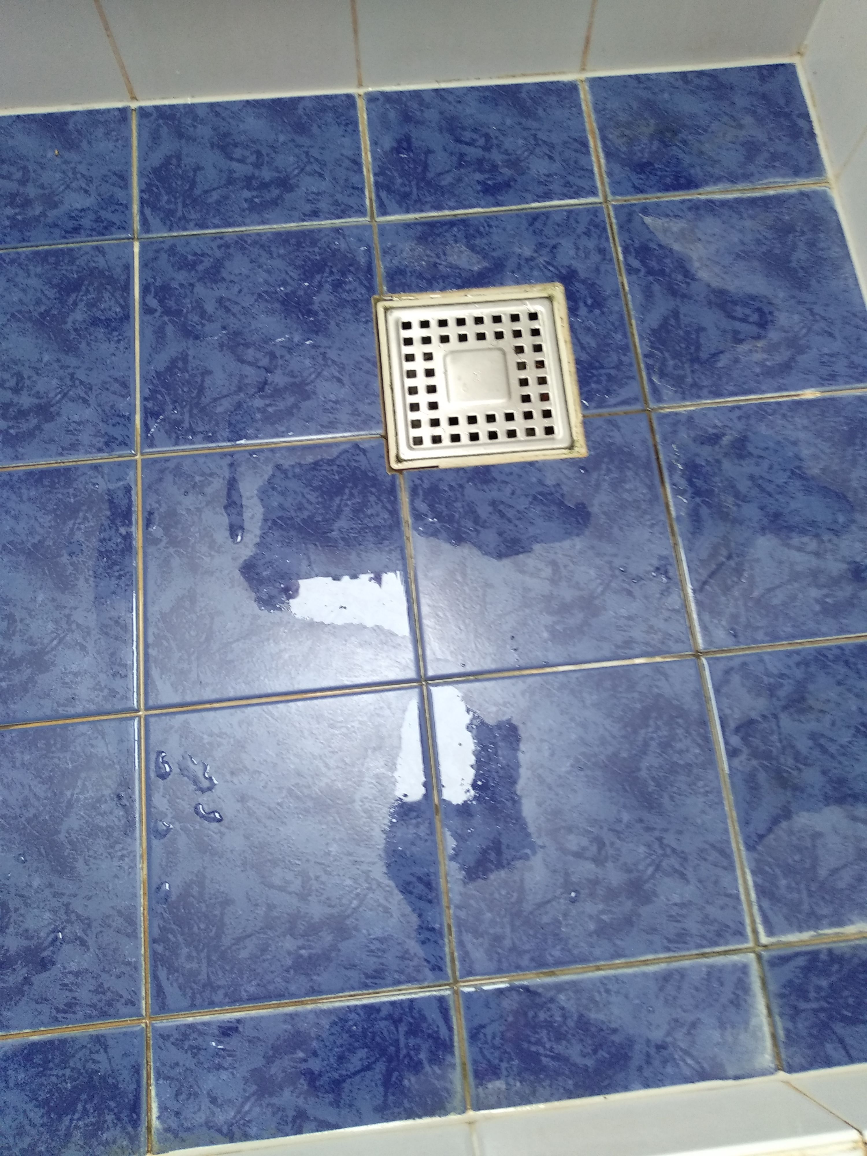 Kitten Douche, Wanden voegen renovatie Werkspot