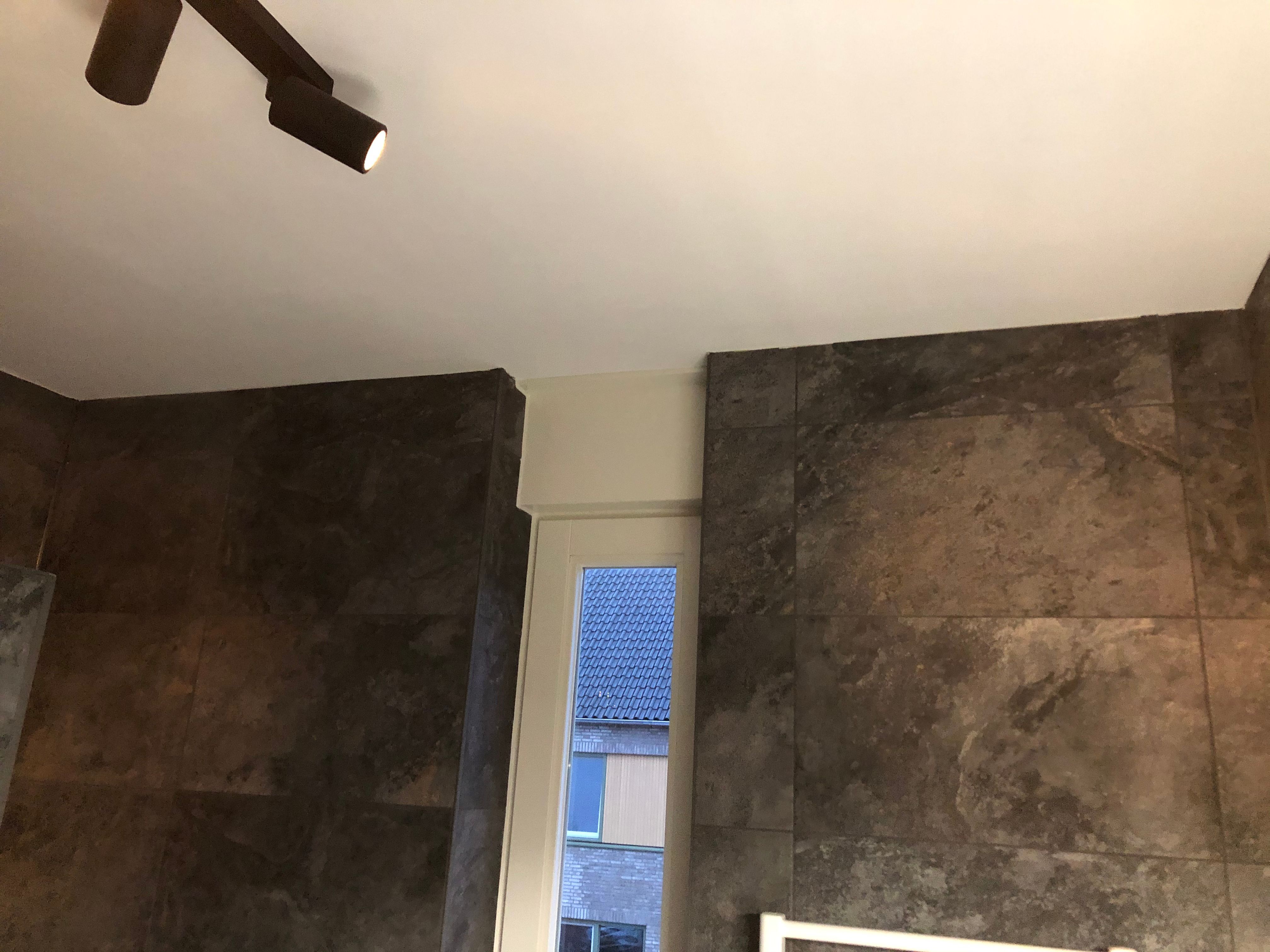 Kitten Plafond badkamer Werkspot