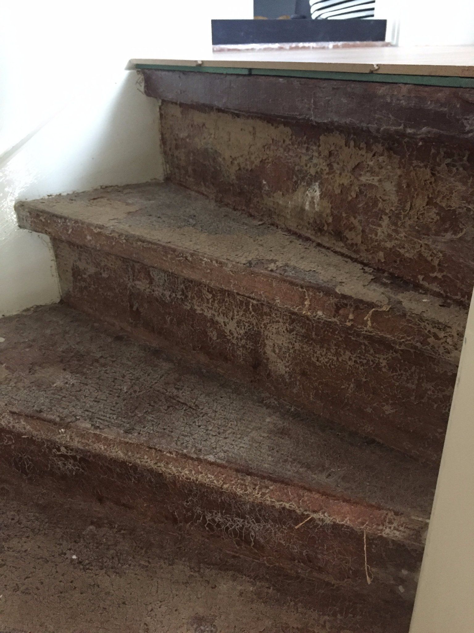 Trap lijm verwijderen en schilderen Werkspot