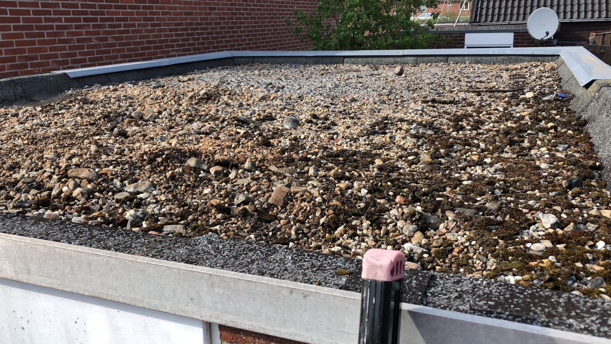 Nieuw Dakleer Op Schuurtje 3 10 X 2 20 M Werkspot