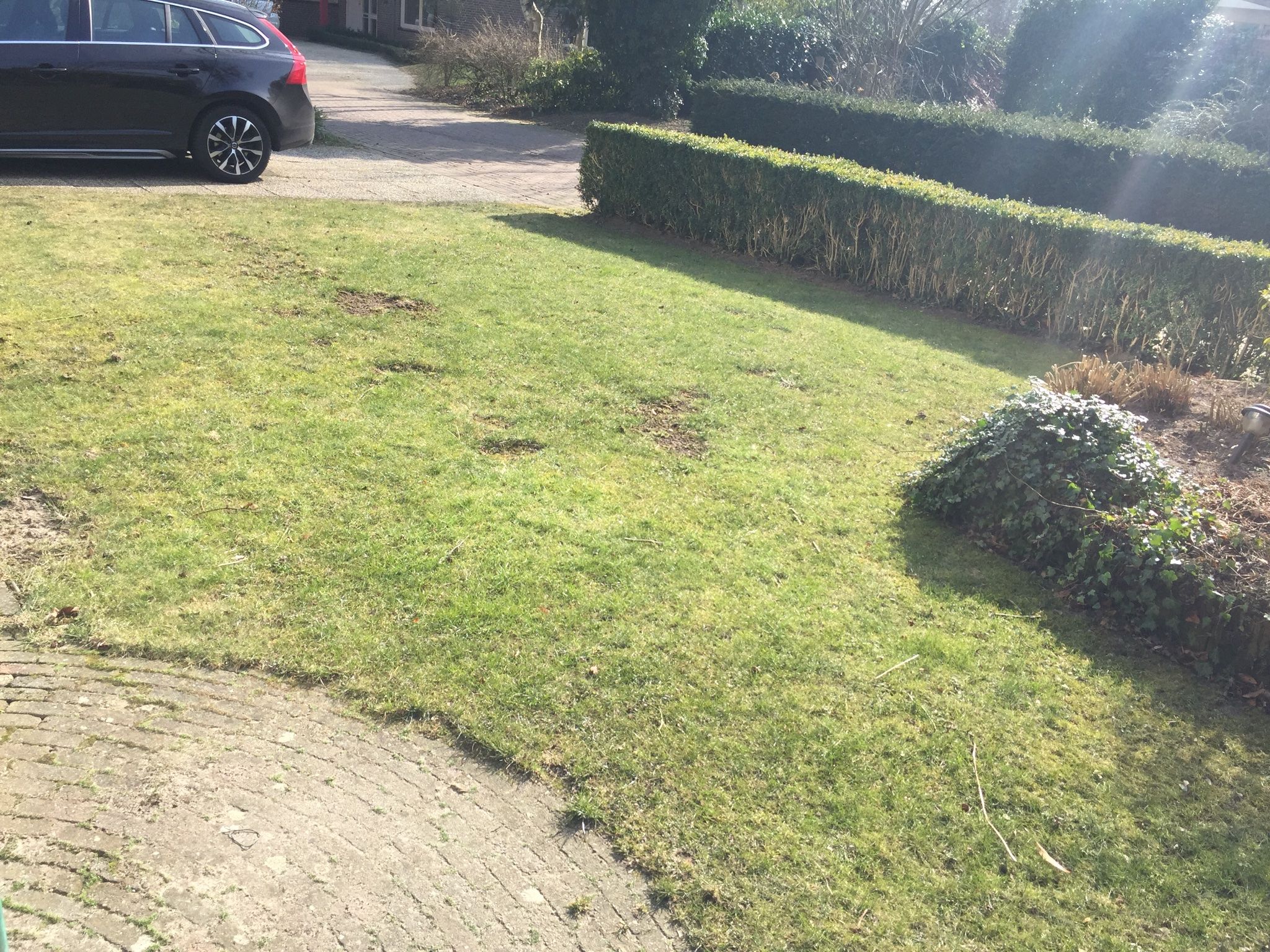 Oud gazon afgraven en opnieuw leggen Werkspot