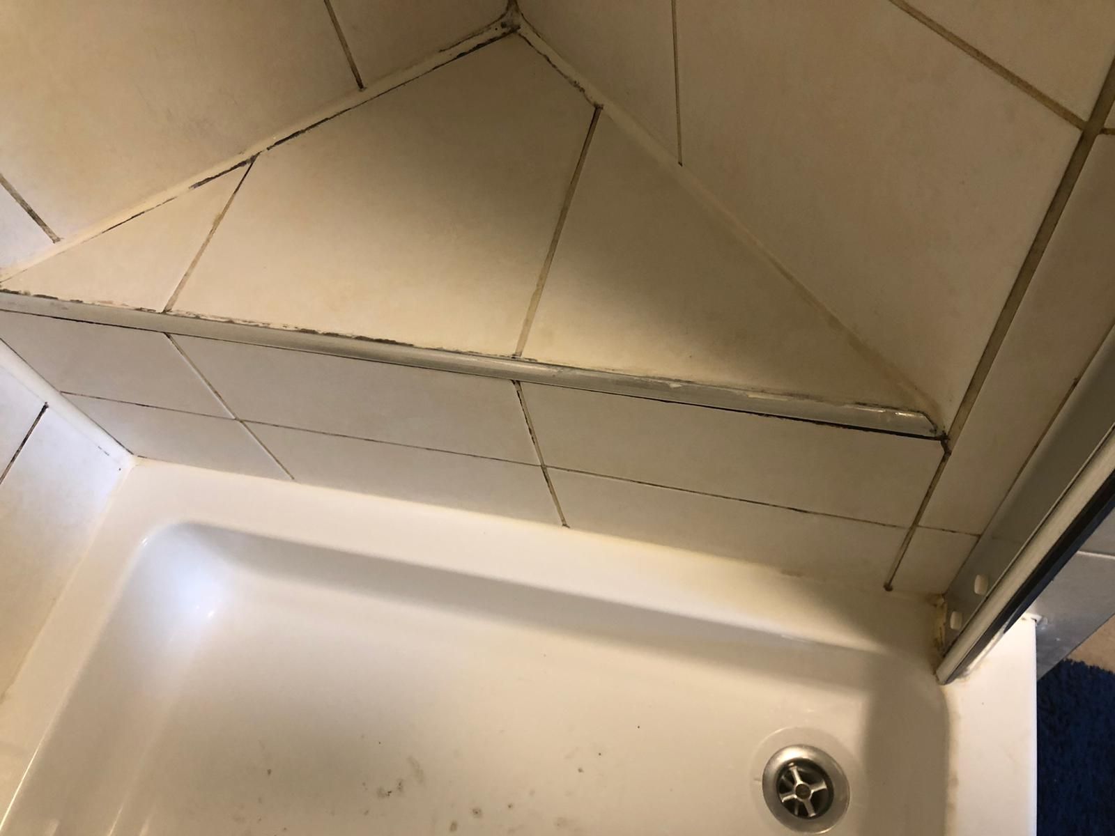 Kitten Douche, Tegels Werkspot